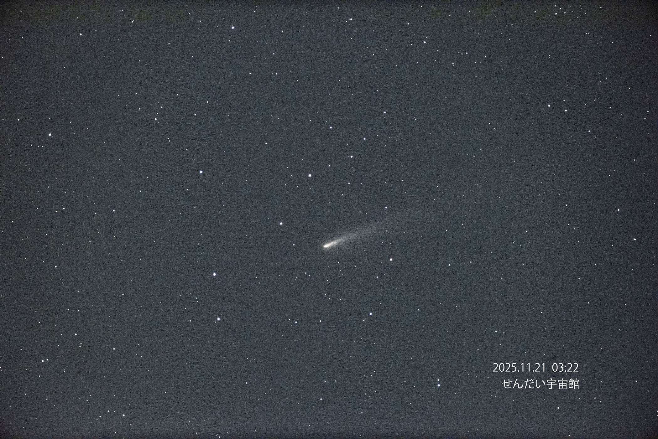 wC/2025 K1 AgXax(2025N1121)