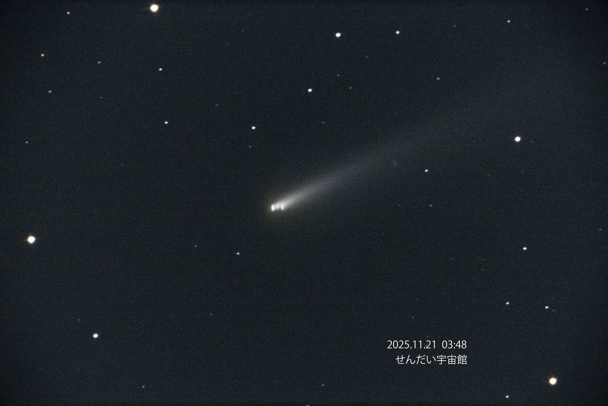 wC/2025 K1 AgXax(2025N1121)