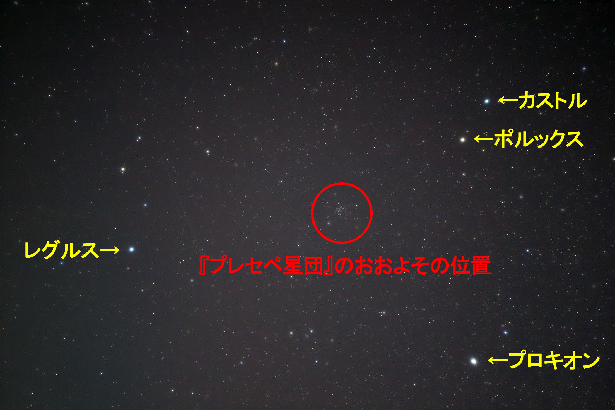 『プレセペ星団(M44)』のおおよその位置