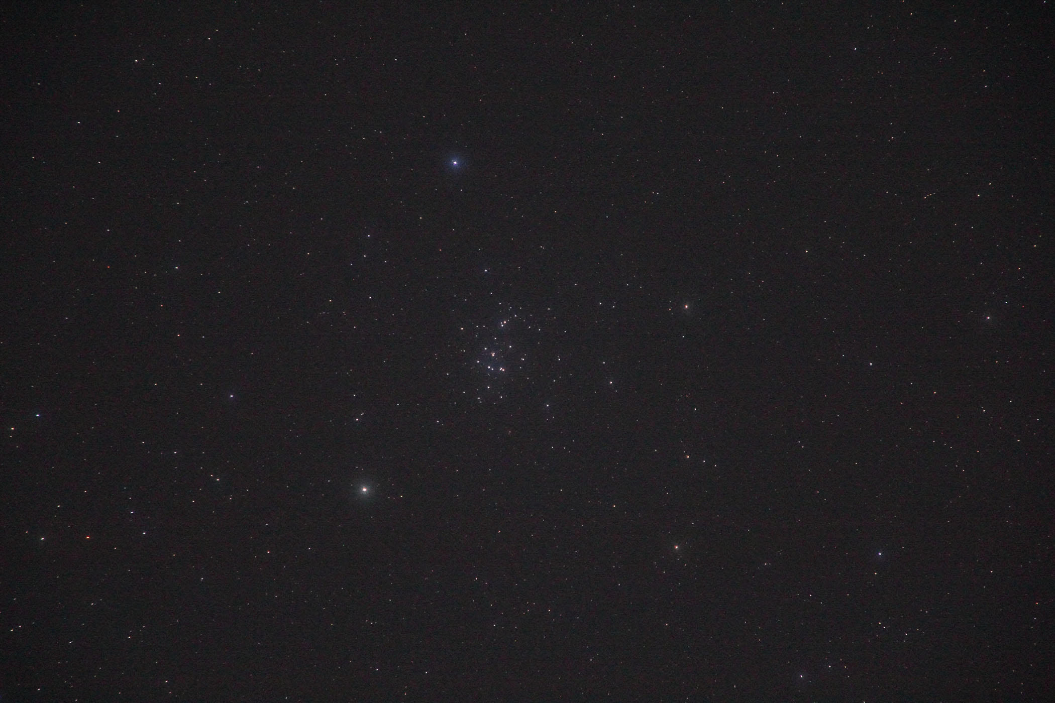 『プレセペ星団(M44)』(2023年3月14日)