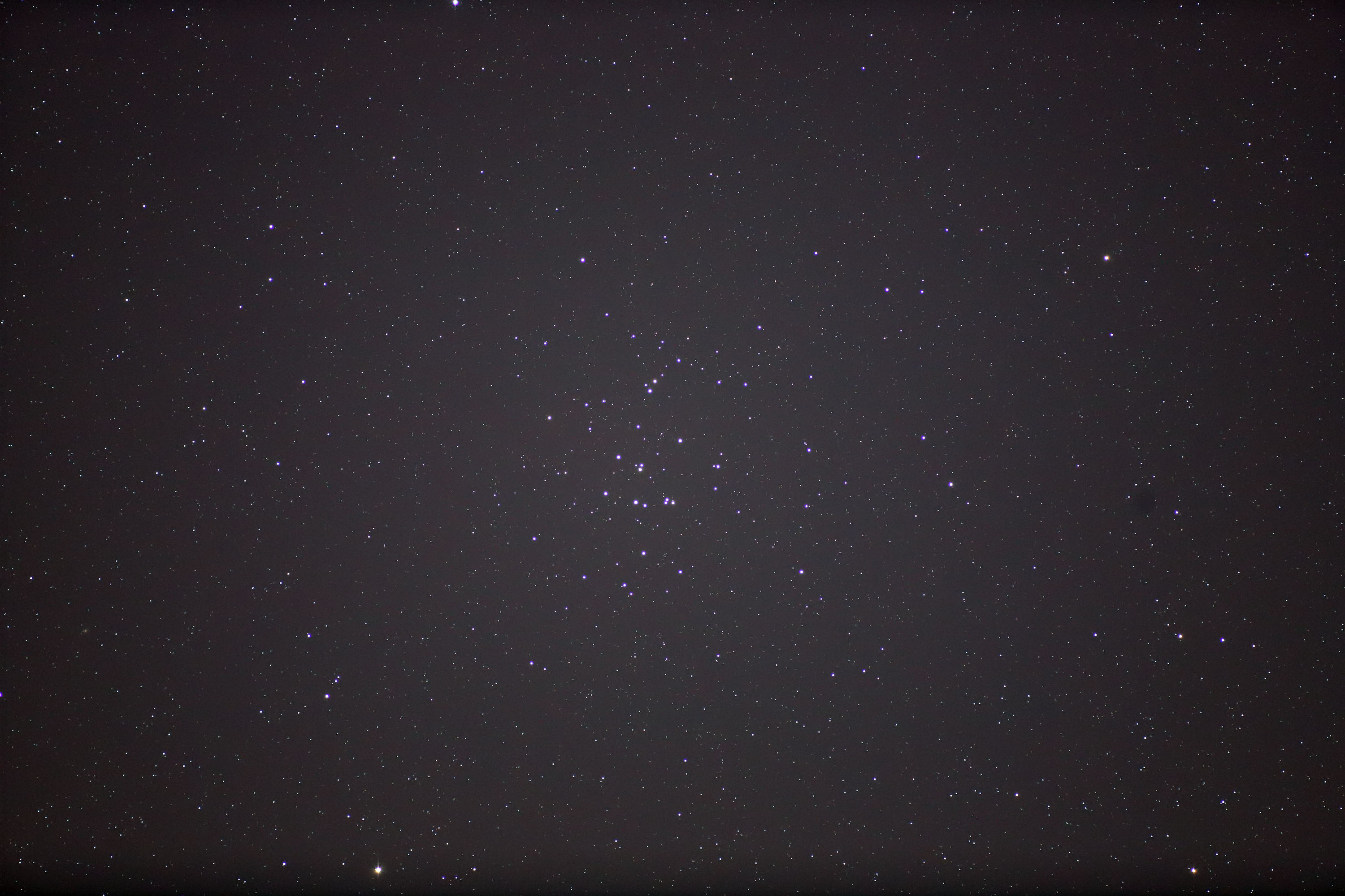 『プレセペ星団(M44)』(2023年3月19日)