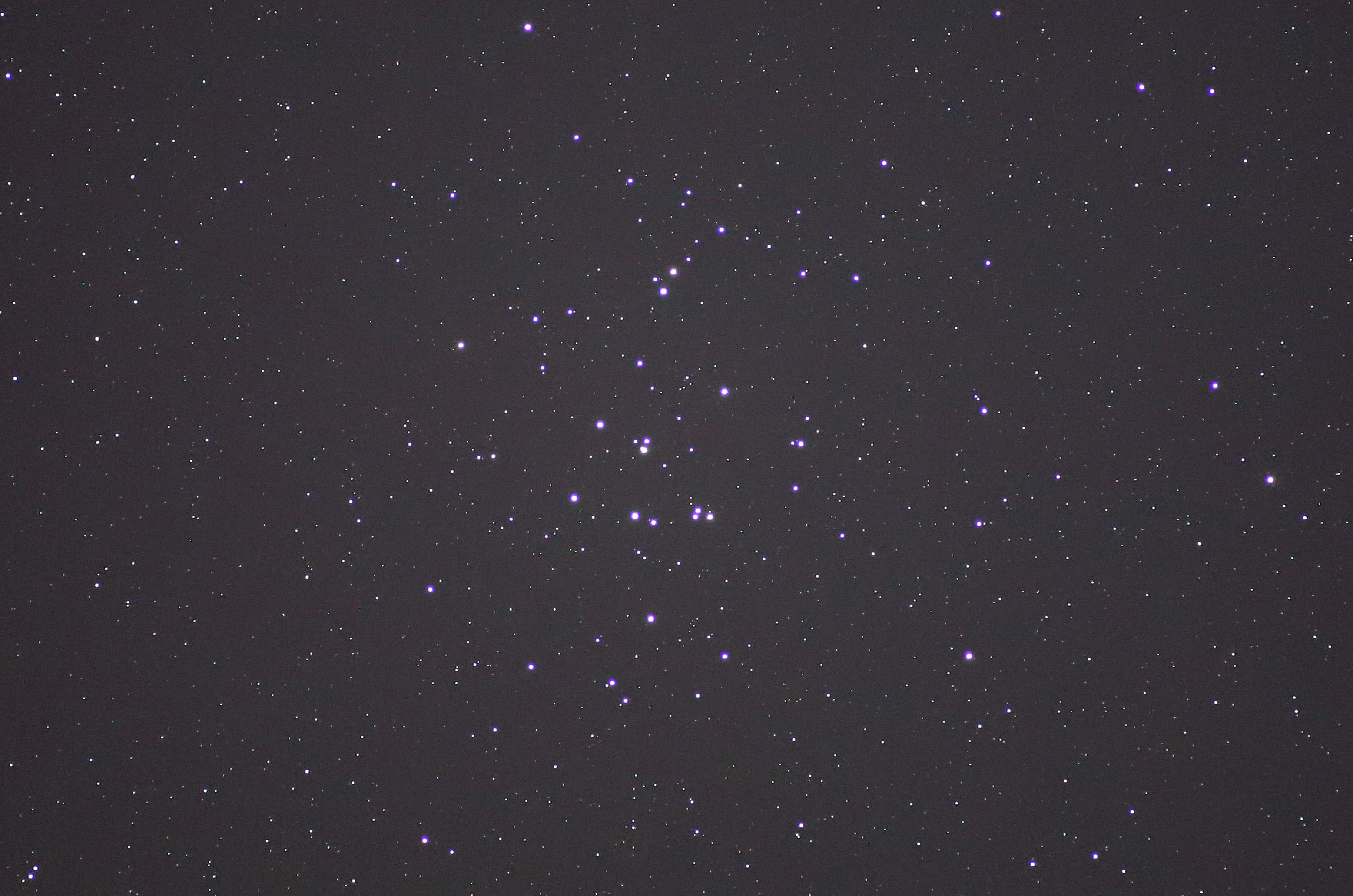 『プレセペ星団(M44)』(2023年3月19日)