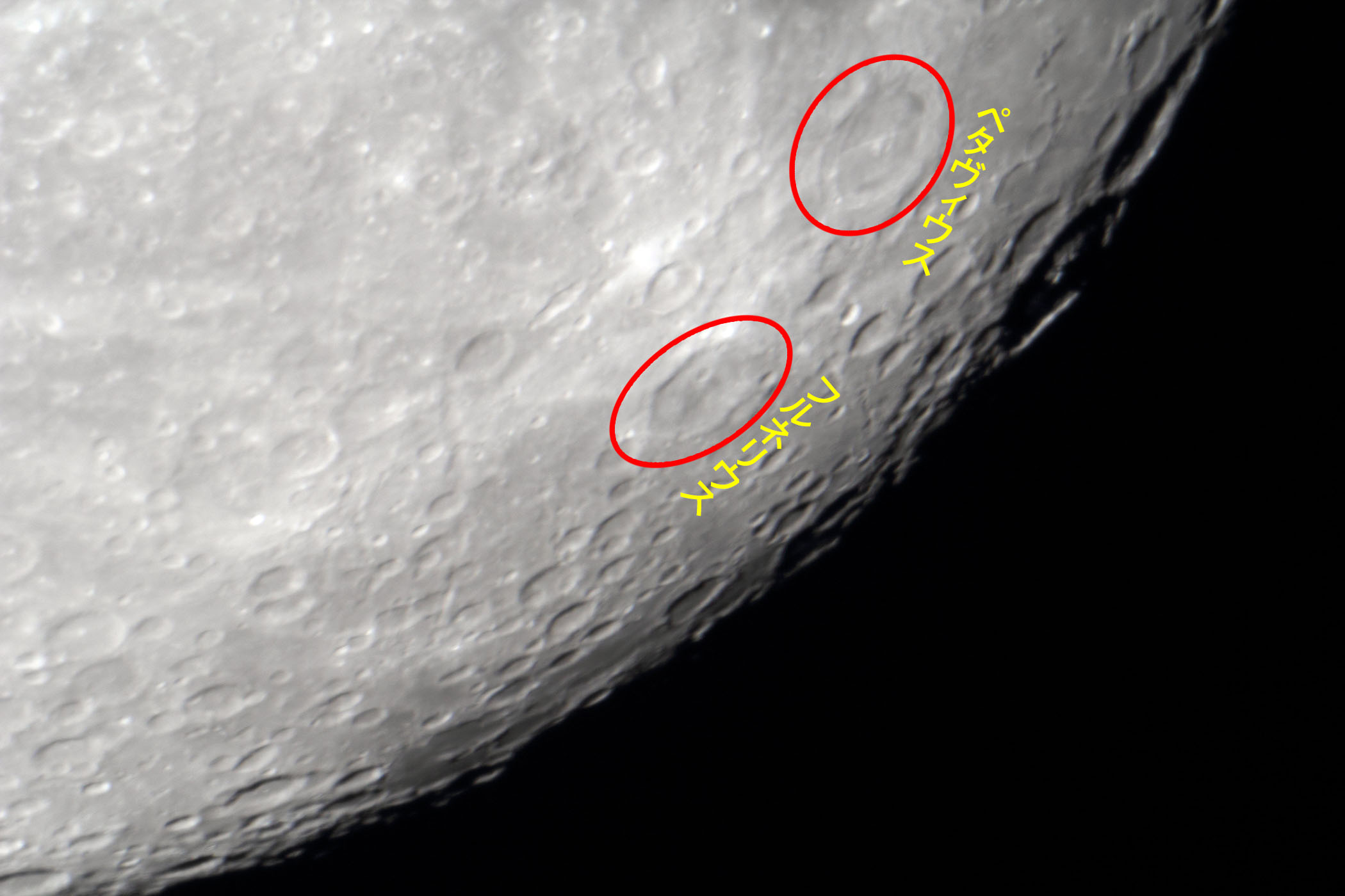 �w���i����15.1�j�y�^���B�E�X�E�t���l���E�X�t�߁x(2023�N11��28��)