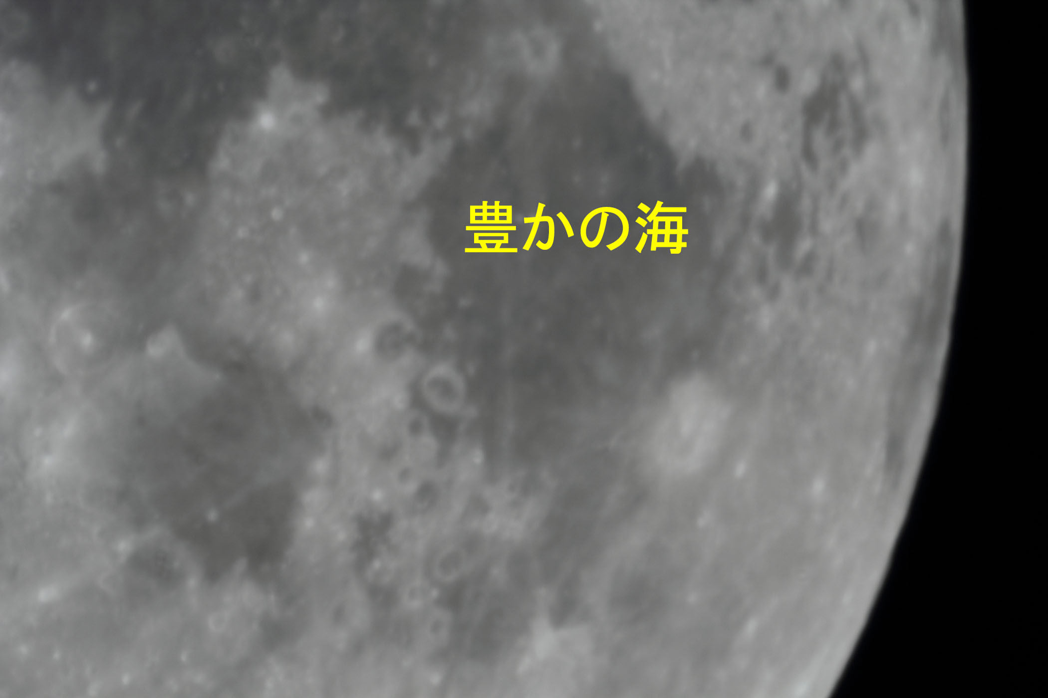 『月（月齢10.0）豊かの海付近』(2024年1月21日)