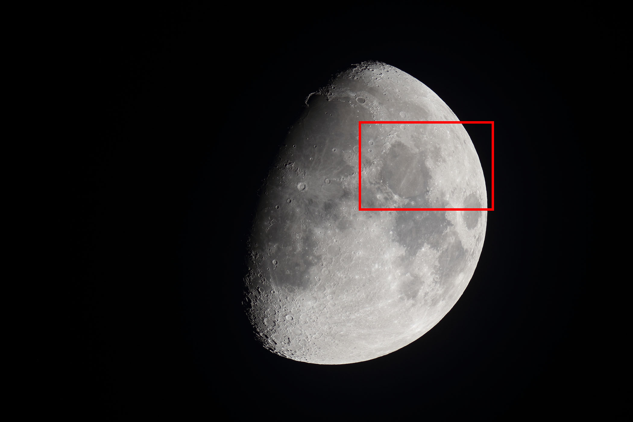 『月(月齢9.2)晴れの海付近』(2025年11月29)