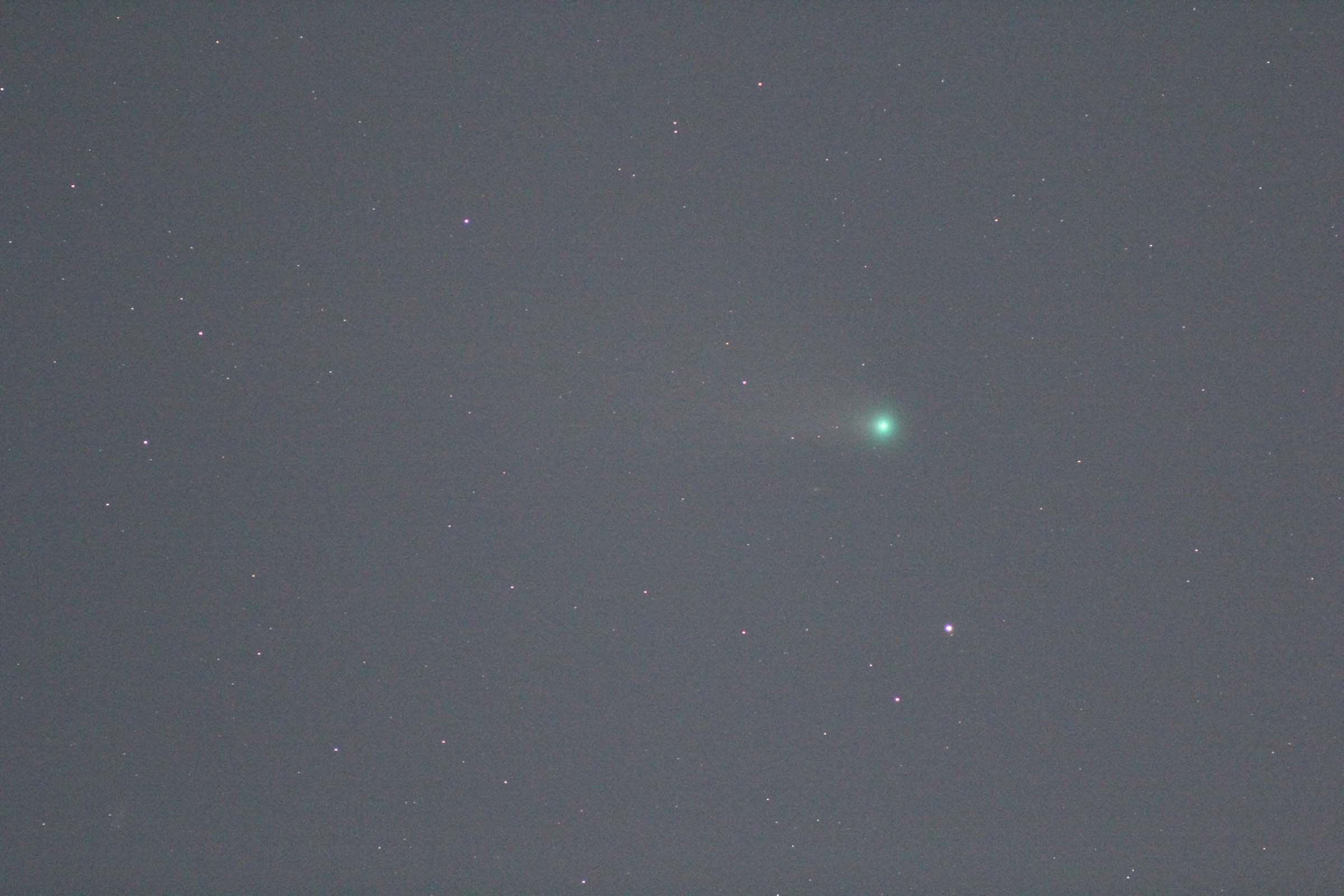 『C/2020 F3 ネオワイズ彗星(2)』(2020年7月31日)