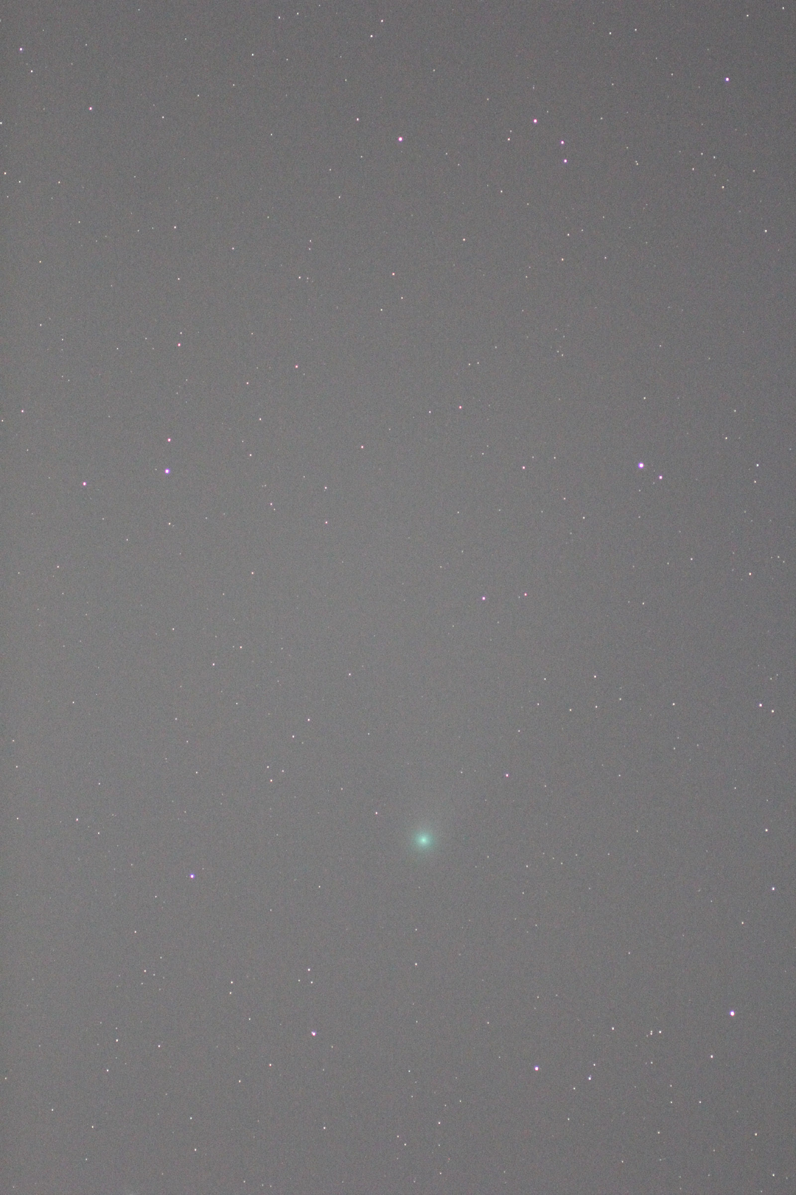 『C/2020 F3 ネオワイズ彗星(3)』(2020年8月13日)