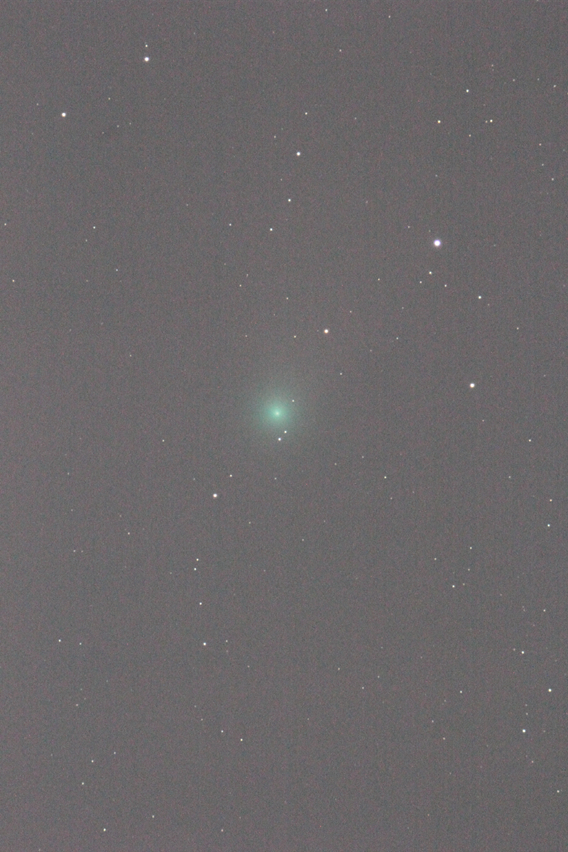 『C/2020 F3 ネオワイズ彗星(4)』(2020年8月15日)