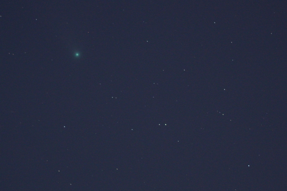『C/2020 F3 ネオワイズ彗星』(2020年8月1日)