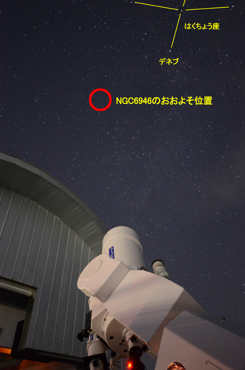 『NGC6946 のおおよその位置』