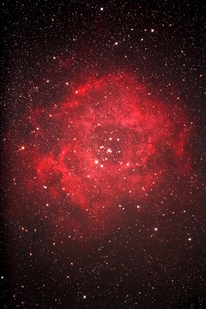 w΂琯_(NGC2237)x(2021N1015)