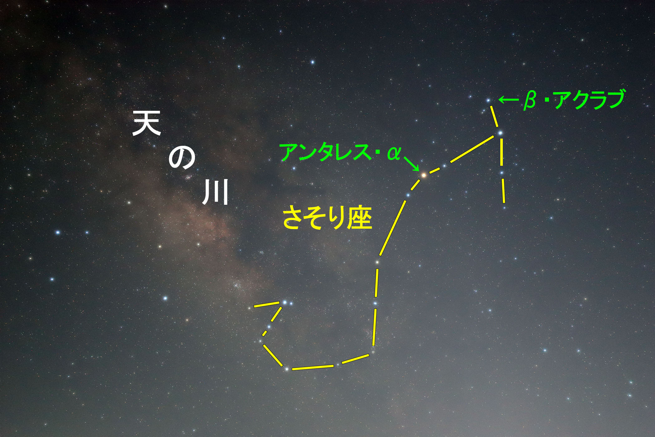 wx̐