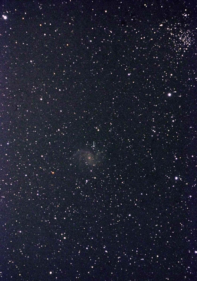 2017.5.20 NGC6946銀河(ケフェウス座)に現れた超新星