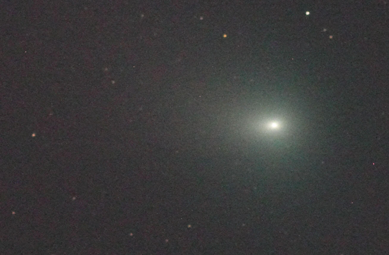 『C/2022 E3 ZTF彗星(拡大)』(2023年2月8日)