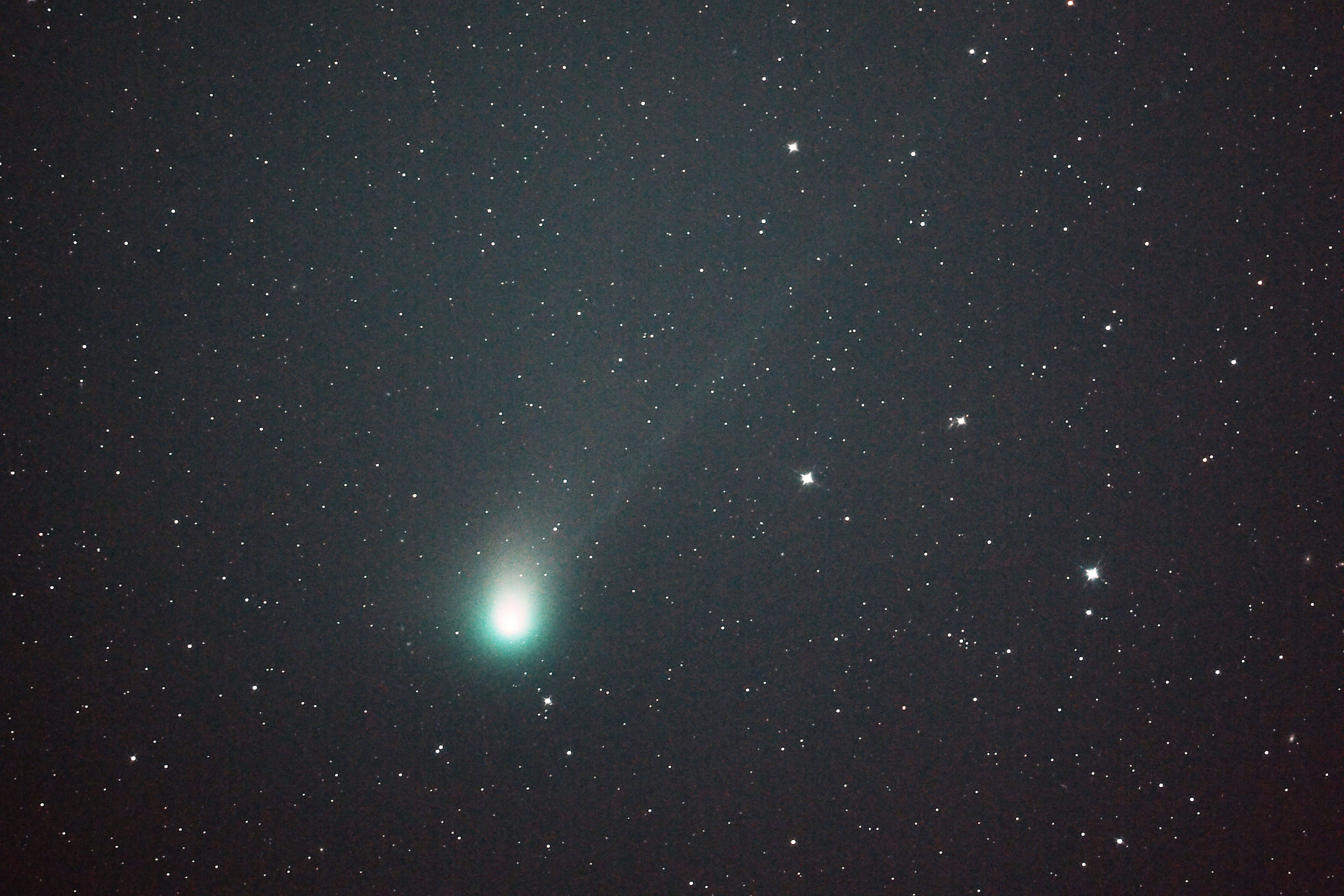 『C/2022 E3 ZTF彗星』(2023年1月17日)