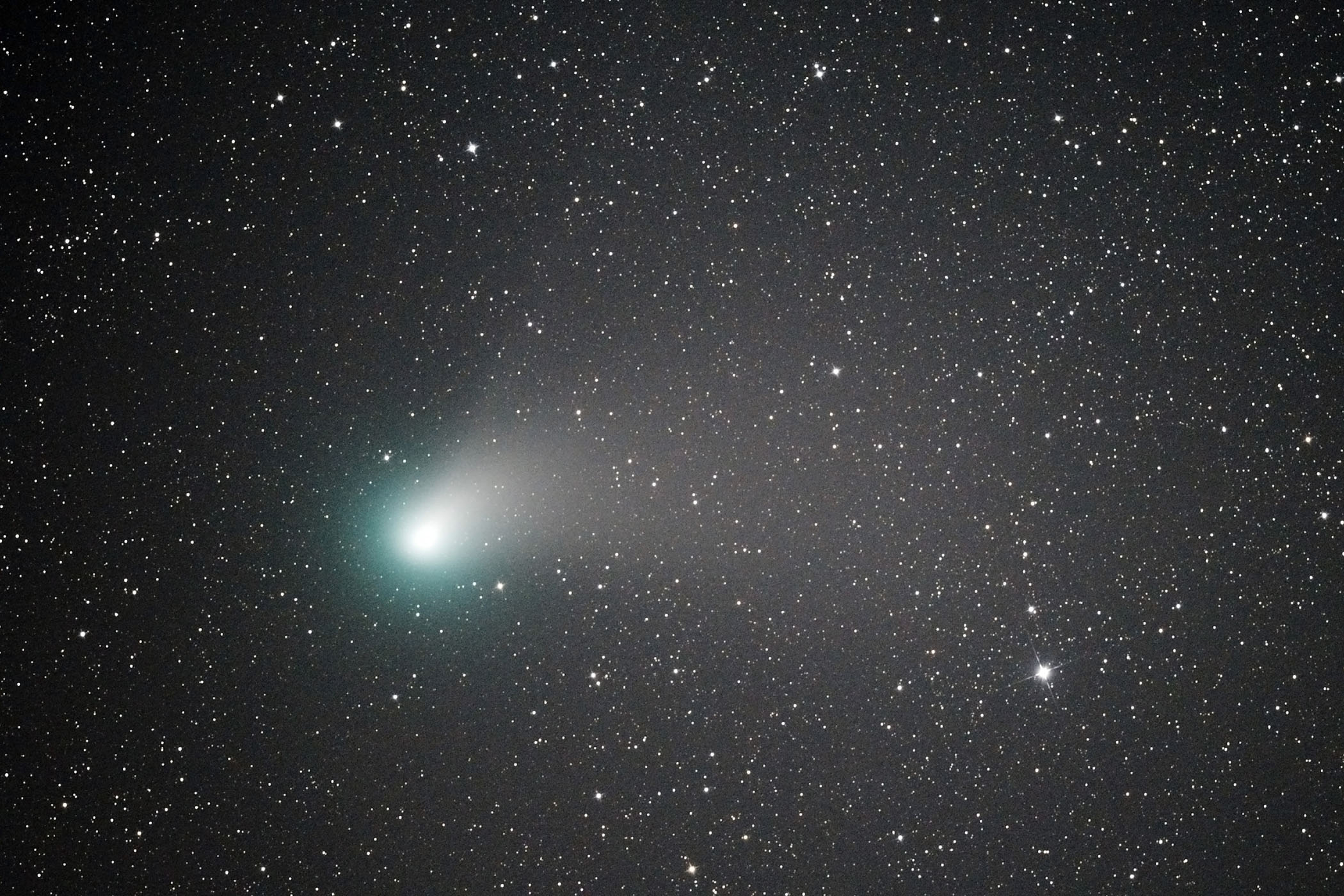 『C/2022 E3 ZTF彗星』(2023年2月8日)