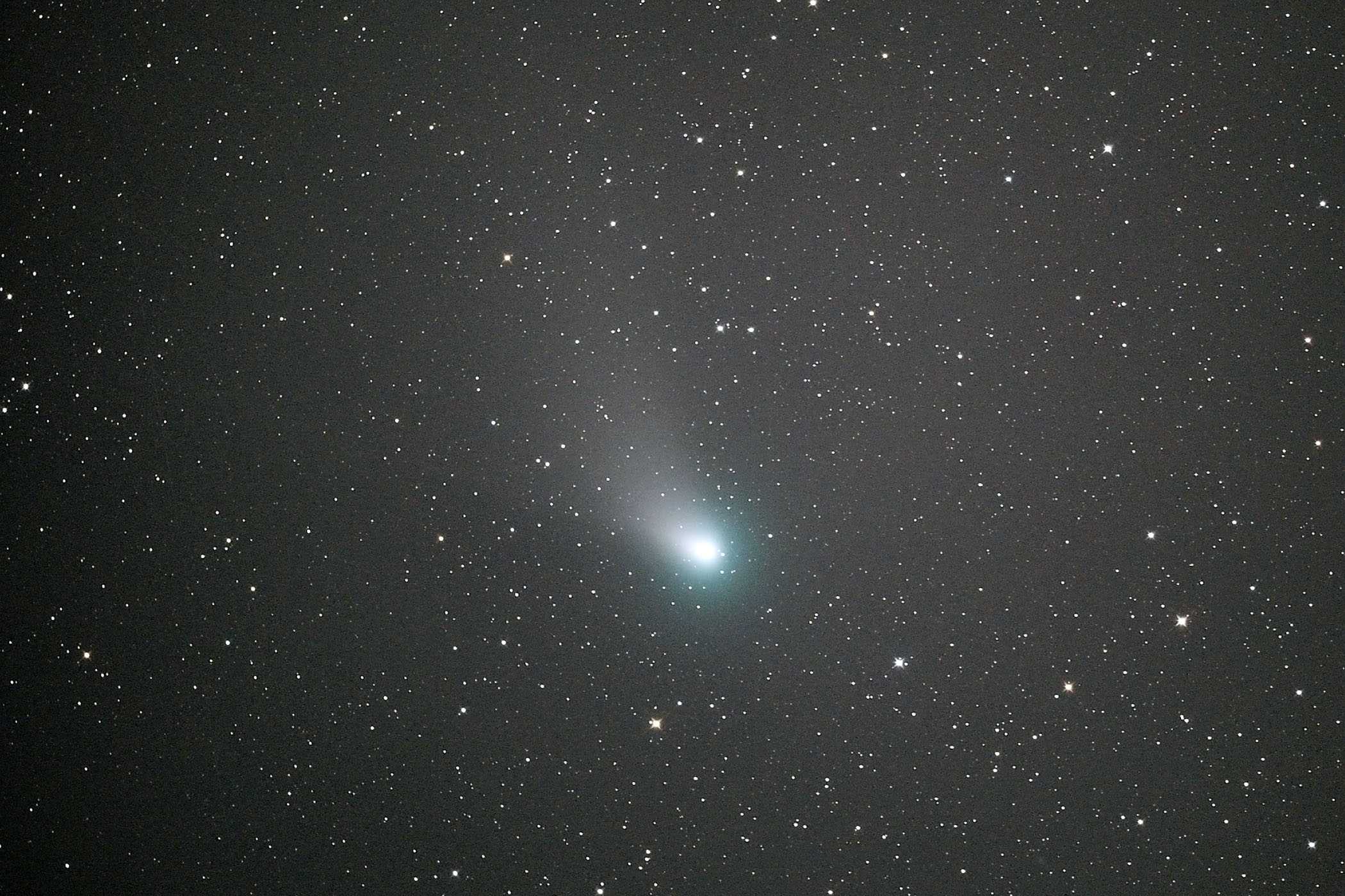 『C/2022 E3 ZTF彗星』(2023年2月14日)