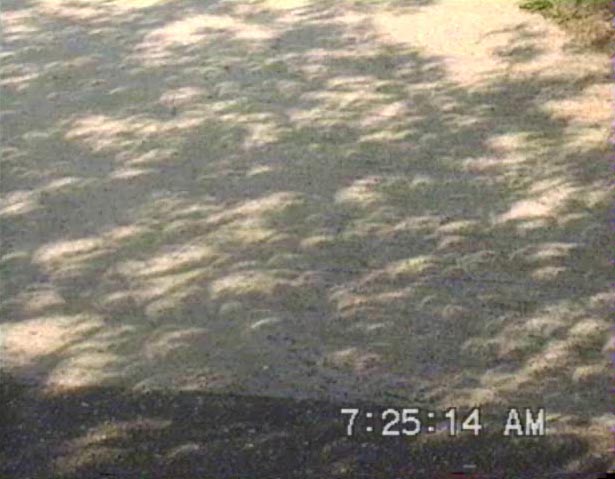 2012.5.21 金環日食の木漏れ日