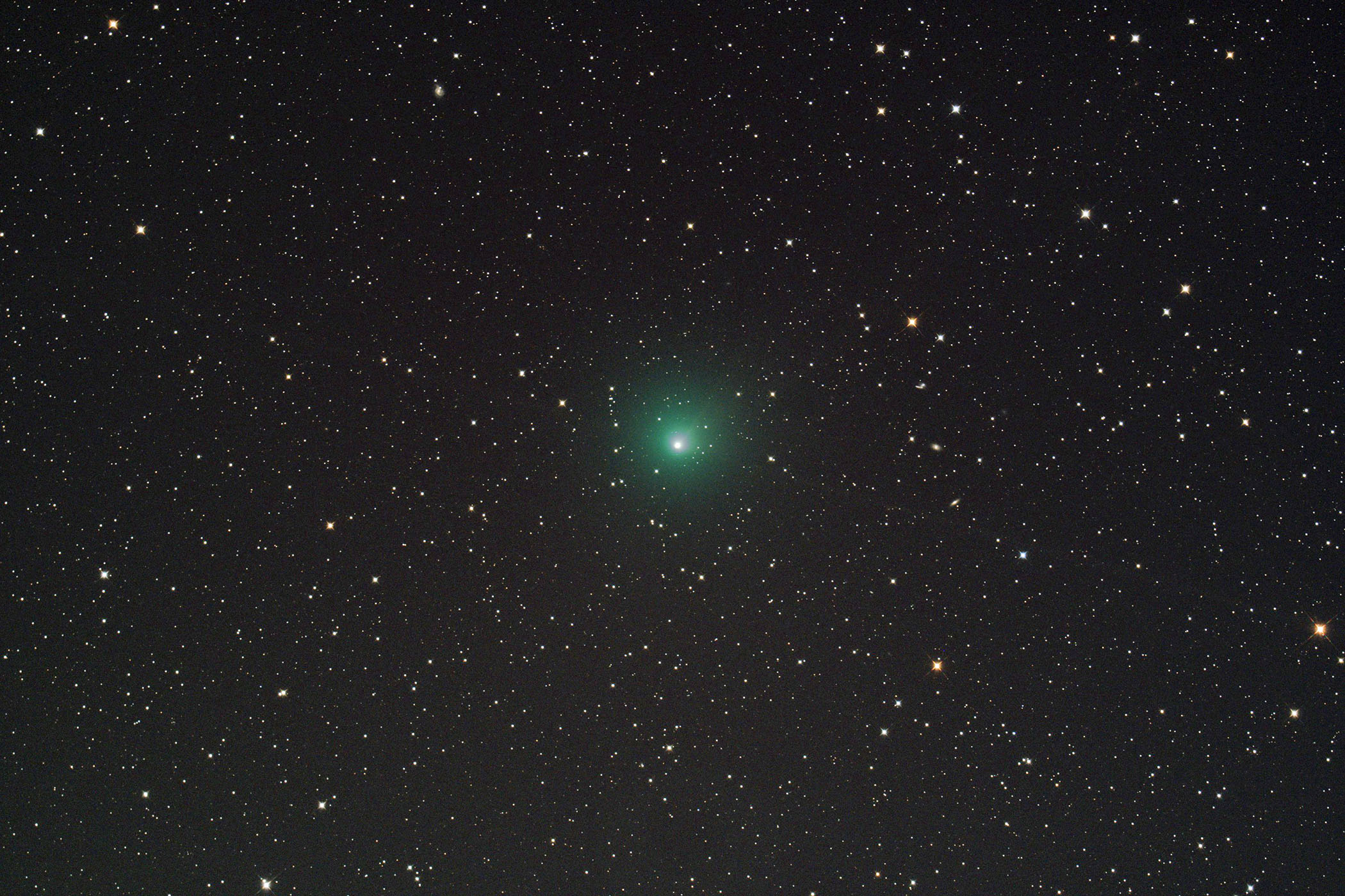 『10P テンペル第2彗星』(2026年8月19日)