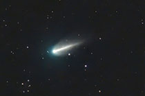 �w220�o �}�b�N�m�|�g�a���x(2026�N8��12��)