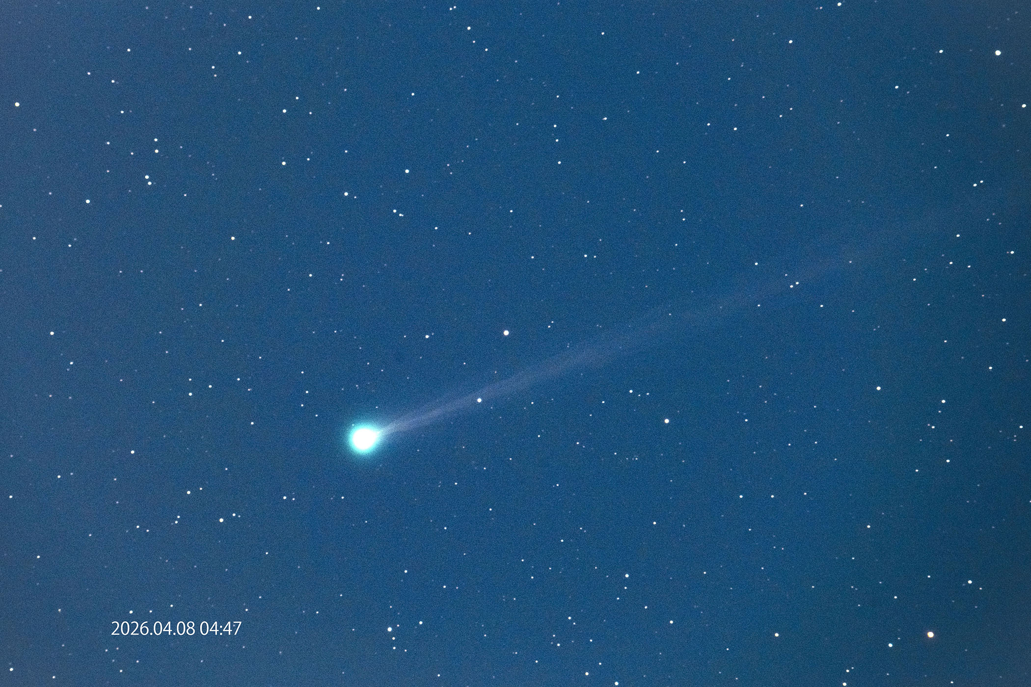 �wC/2025 R3 �p���X�^�[�Y�a���x(2026�N4��8��)