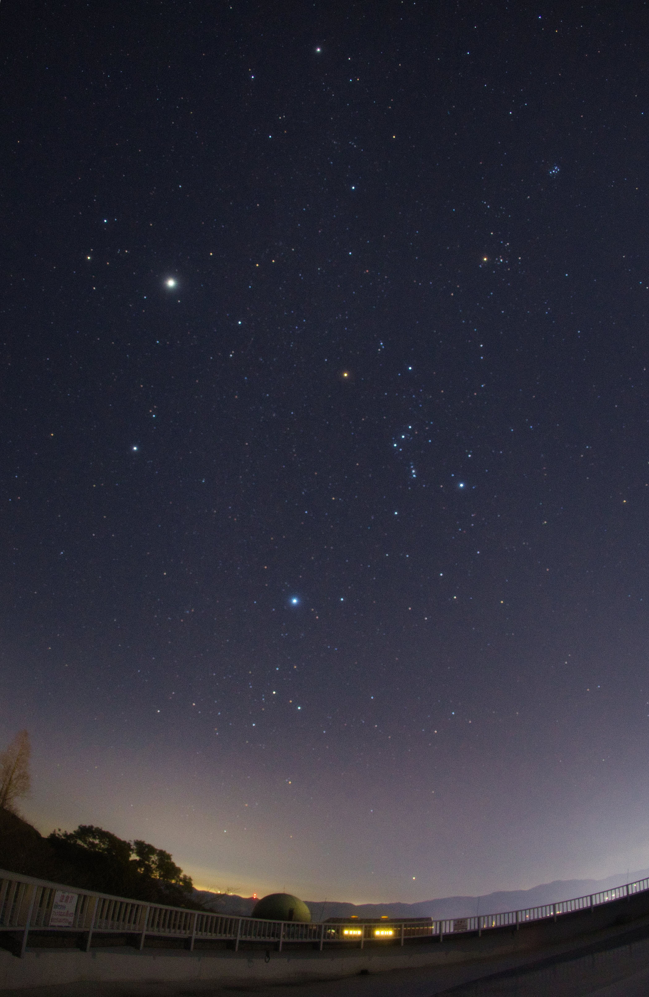 �w�ؐ��Ɠ~�̃_�C�������h�x(2026�N2��21��)