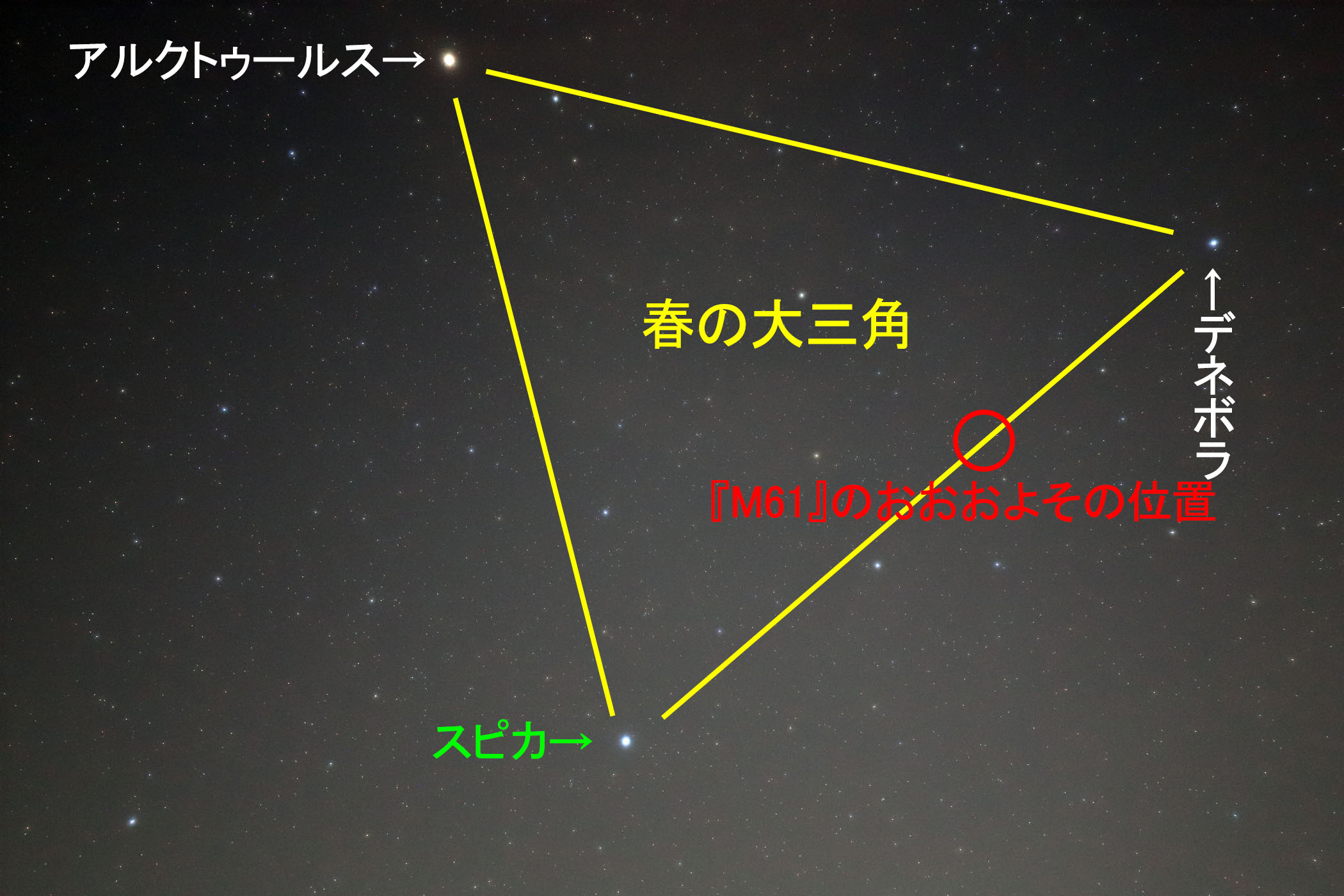 wM61x̂悻̈ʒu