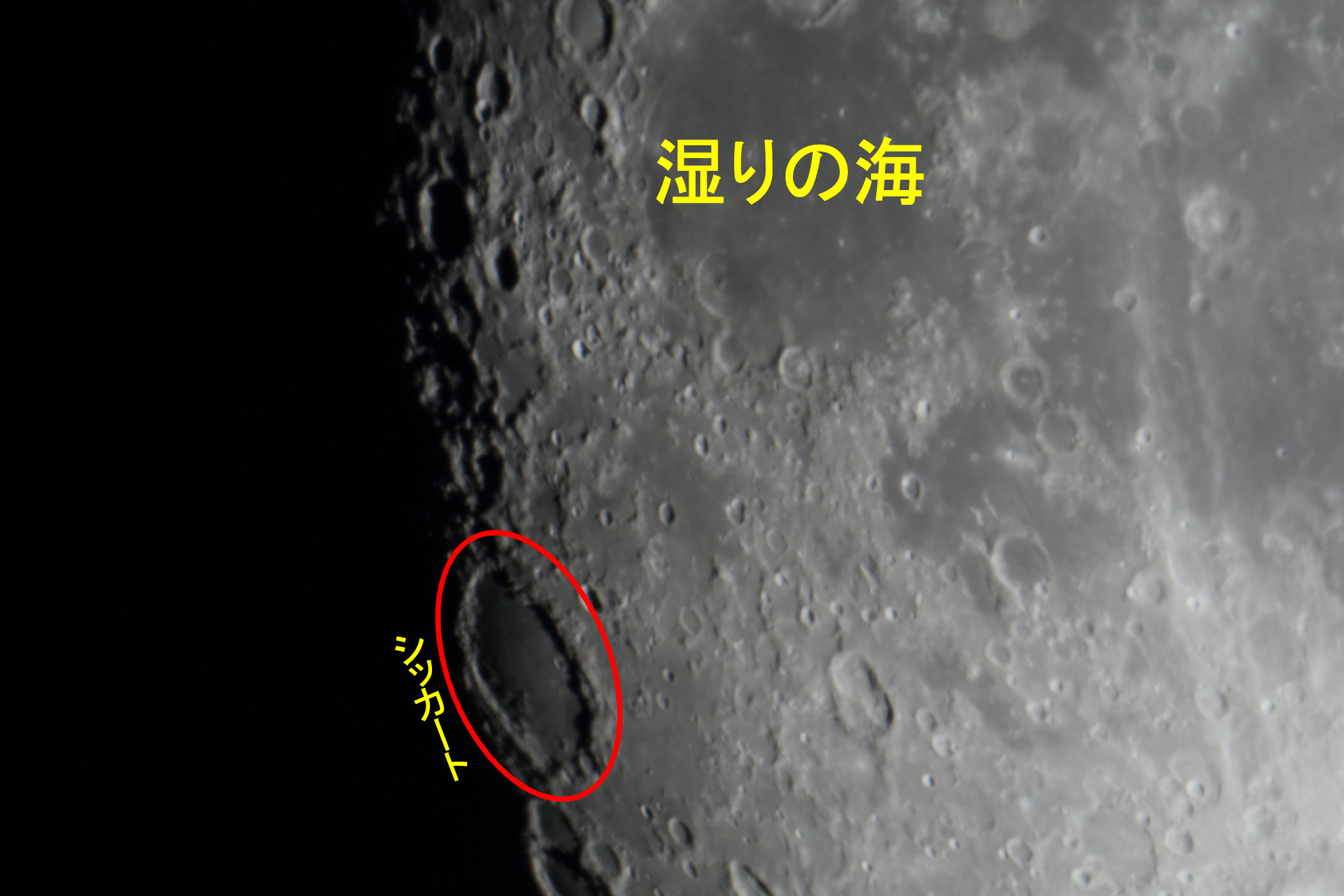 『月(月齢12.2)湿りの海・シッカート付近』(2025年12月2日)