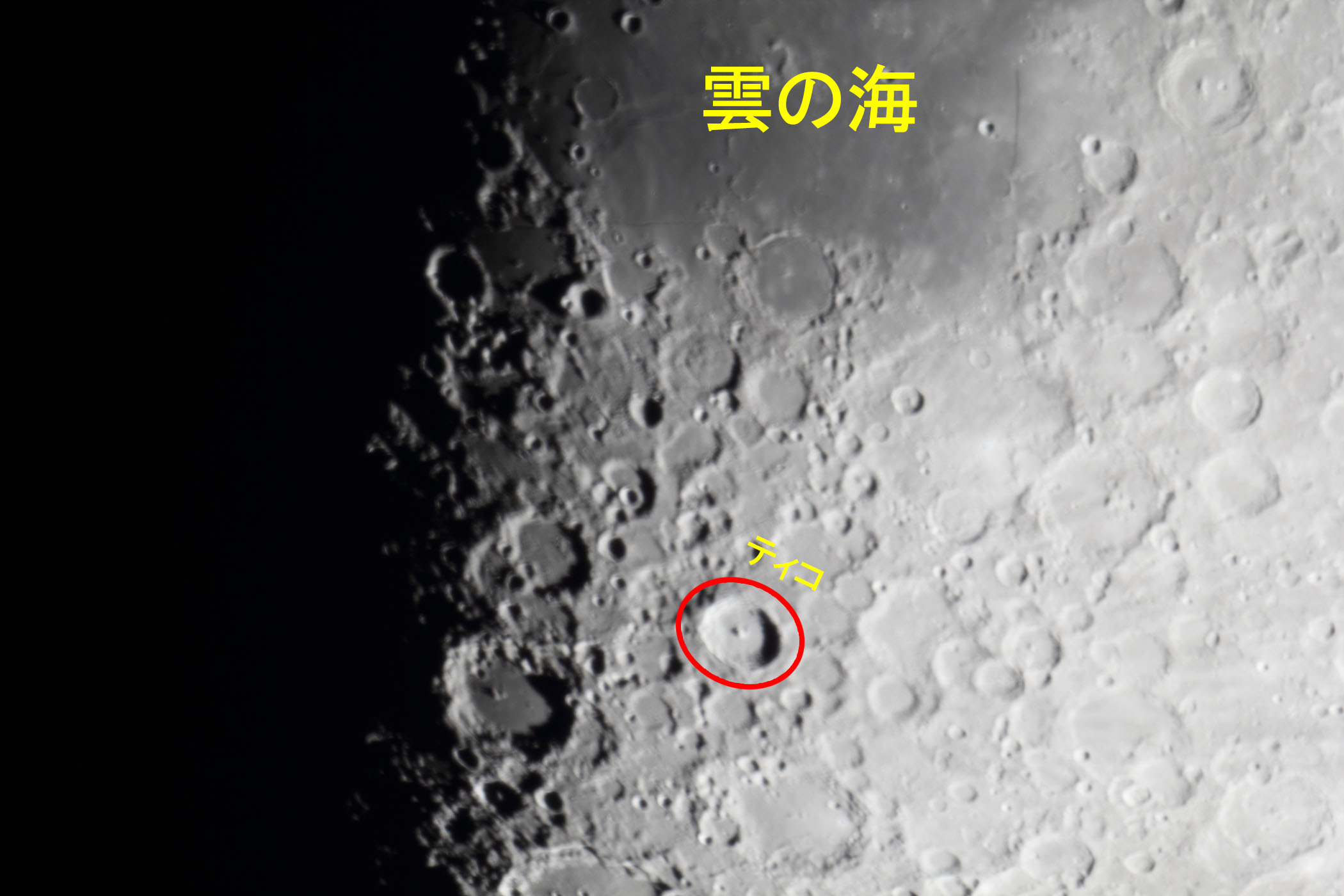 �w���i����9.4�j�_�̊C�E�e�B�R�t�߁x(2025�N12��29��)