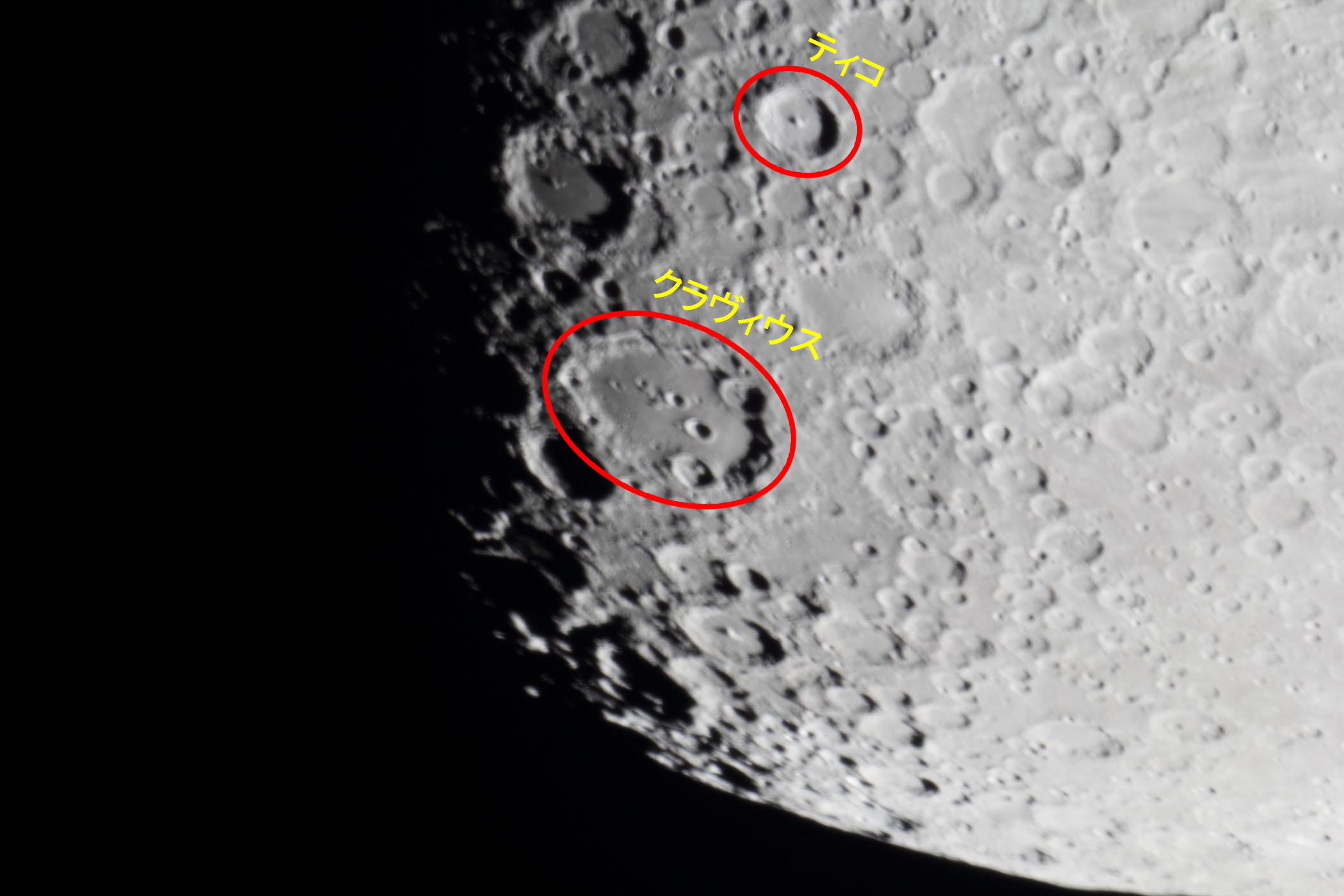 �w���i����9.4�j�e�B�R�E�N�����B�E�X�t�߁x(2025�N12��29��)