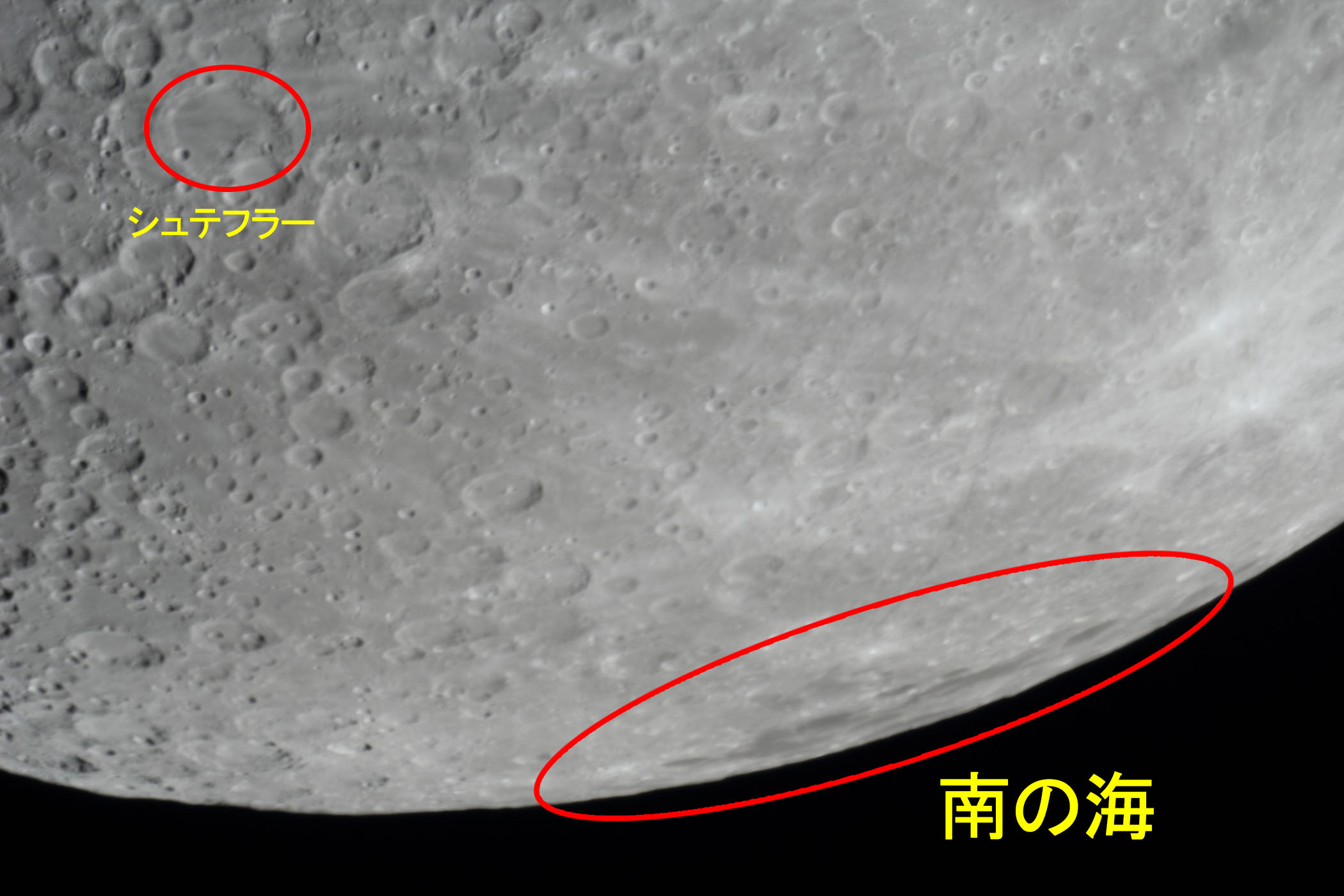 �w���i����9.4�j�V���e�t���[�E��̊C�t�߁x(2025�N12��29��)