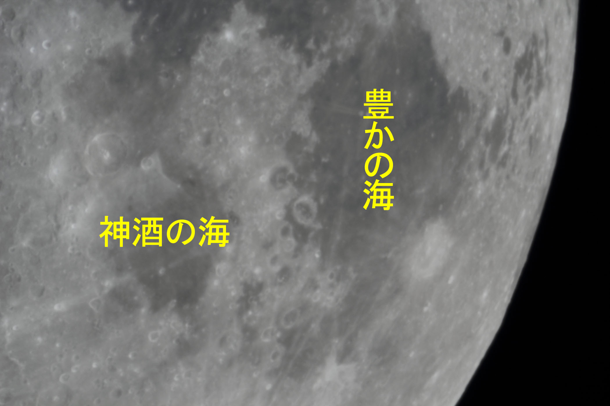 �w���i����9.7�j�_���̊C�E�L���̊C�t�߁x(2026�N1��28��)