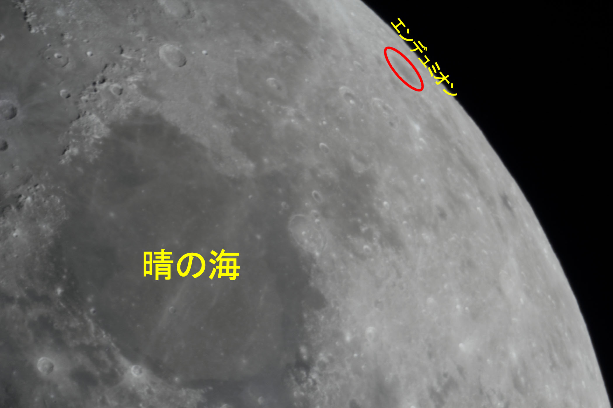 �w���i����9.7�j�G���f���~�I���E���̊C�t�߁x(2026�N1��28��)