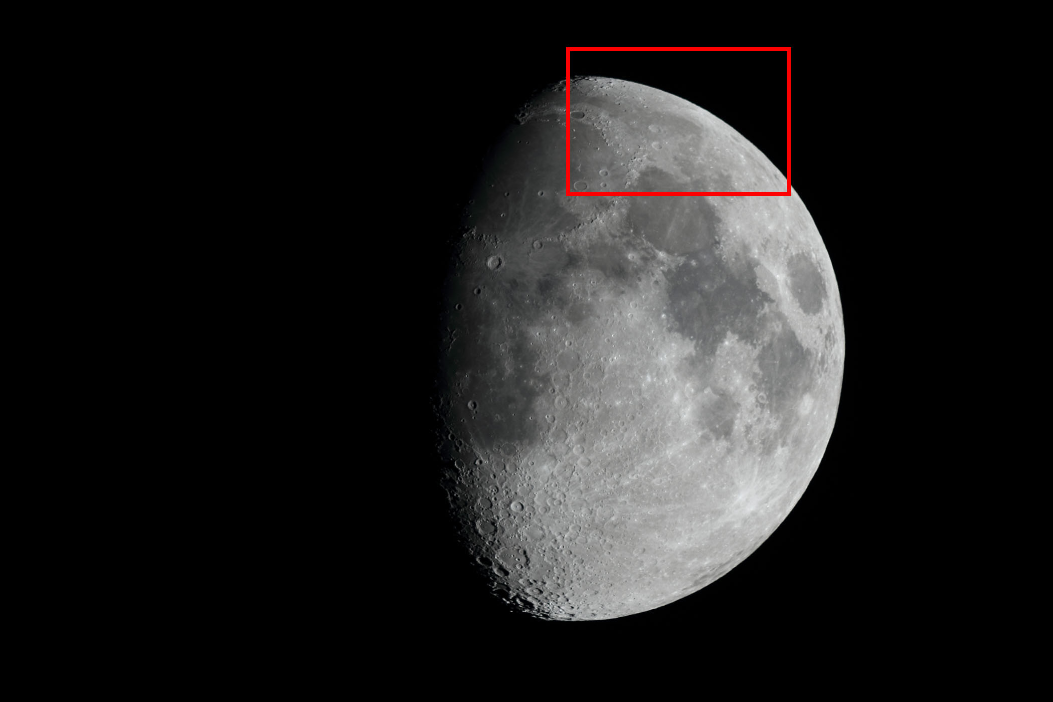 �w���i����9.7�j�A���X�g�e���X�E�G���f���~�I���t�߁x(2026�N1��28��)