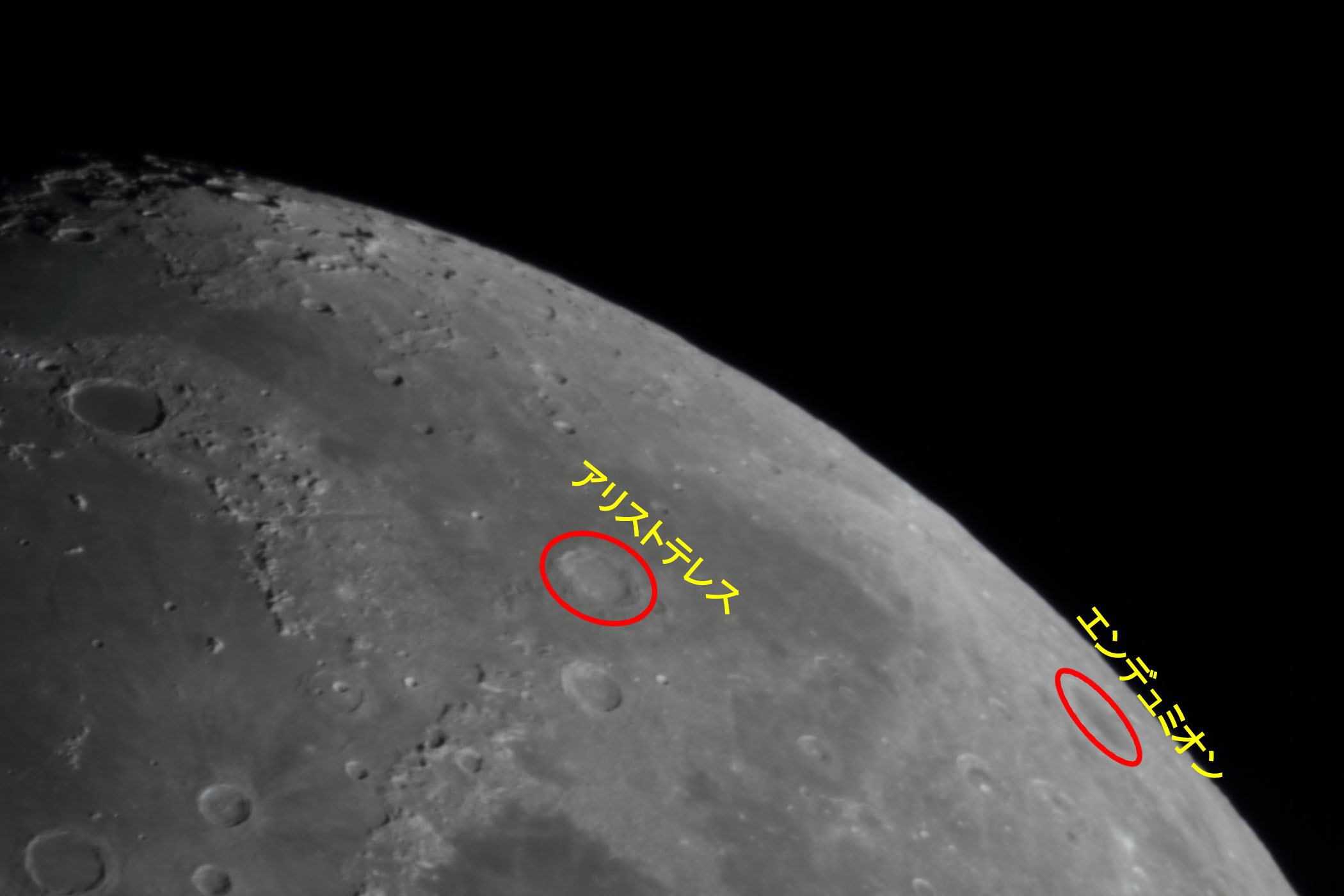 �w���i����9.7�j�A���X�g�e���X�E�G���f���~�I���t�߁x(2026�N1��28��)