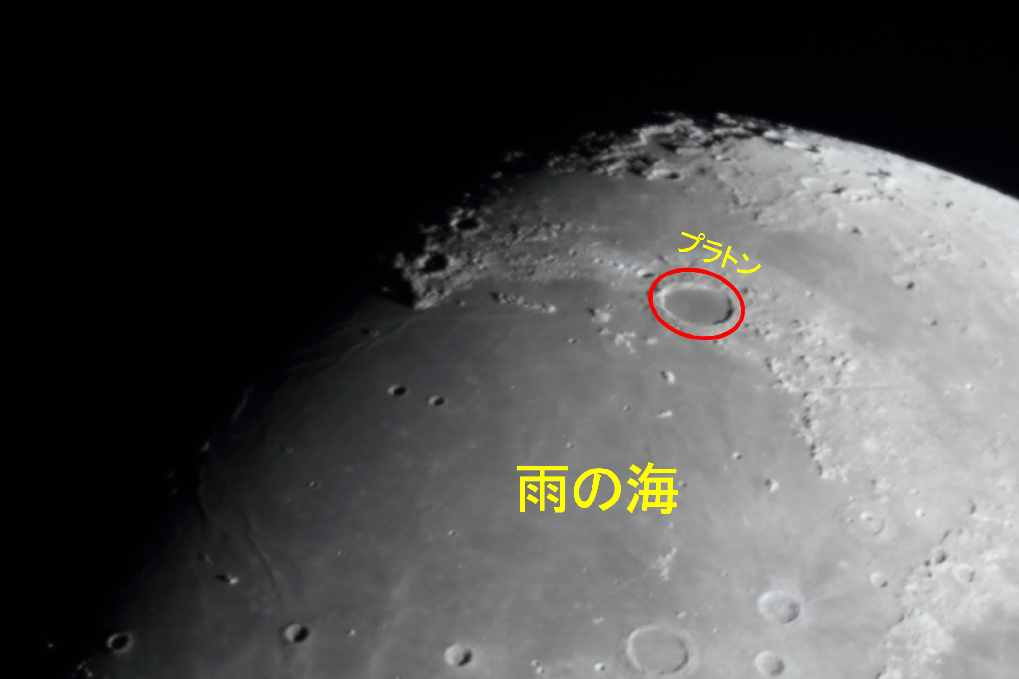 �w���i����9.7�j�v���g���E�J�̊C�t�߁x(2026�N1��28��)