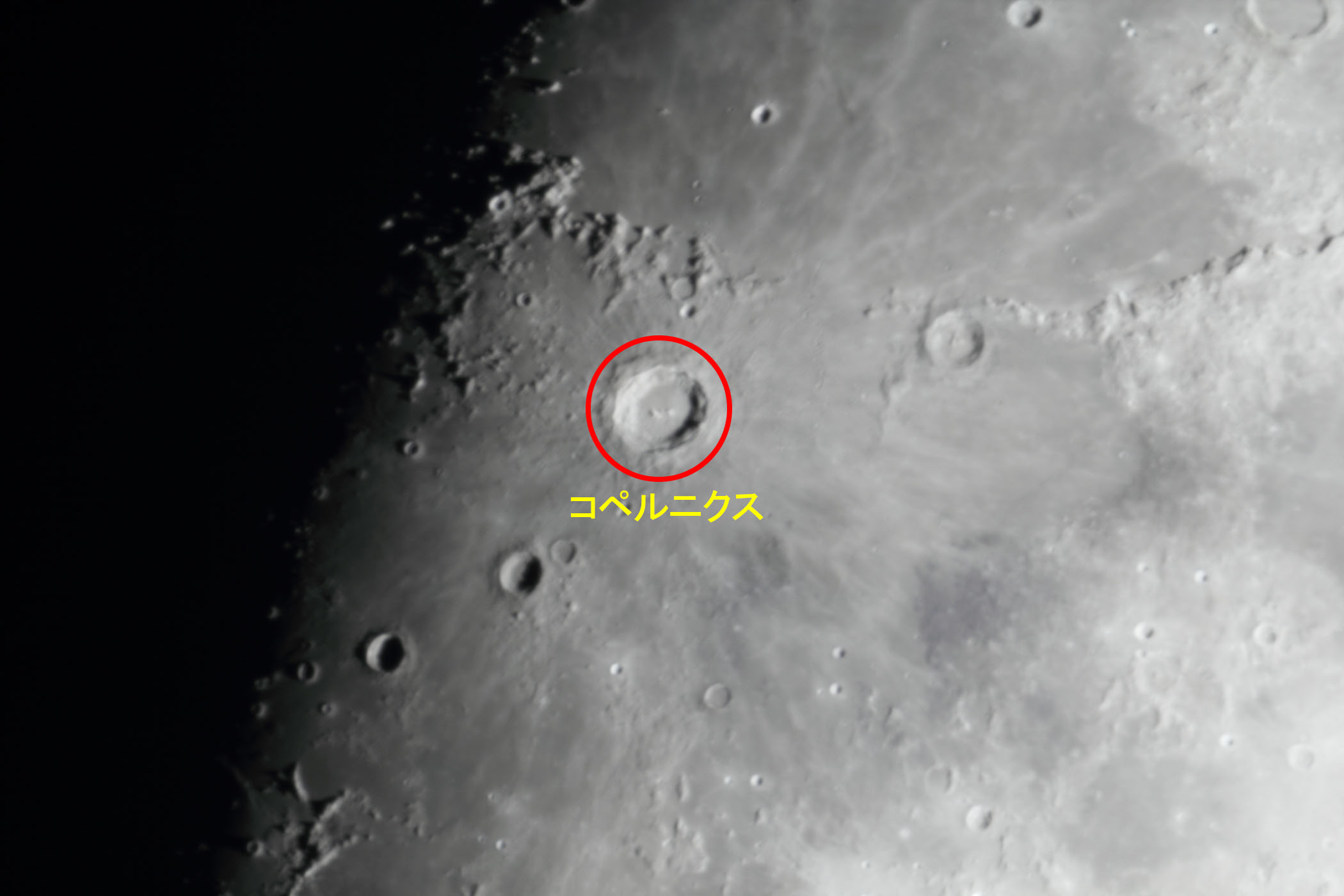 �w���i����9.7�j�R�y���j�N�X�t�߁x(2026�N1��28��)