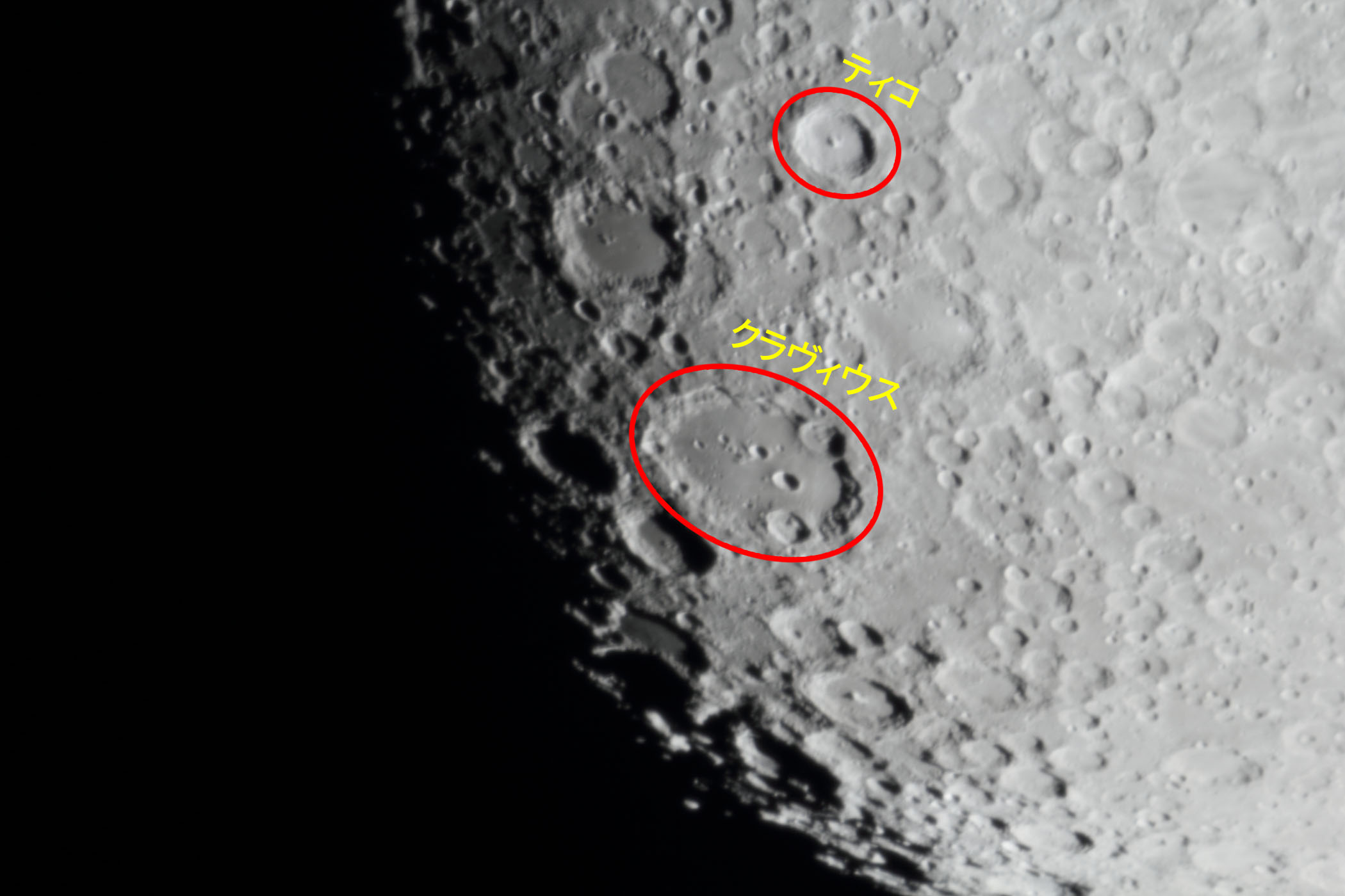 �w���i����9.7�j�e�B�R�E�N�����B�E�X�t�߁x(2026�N1��28��)