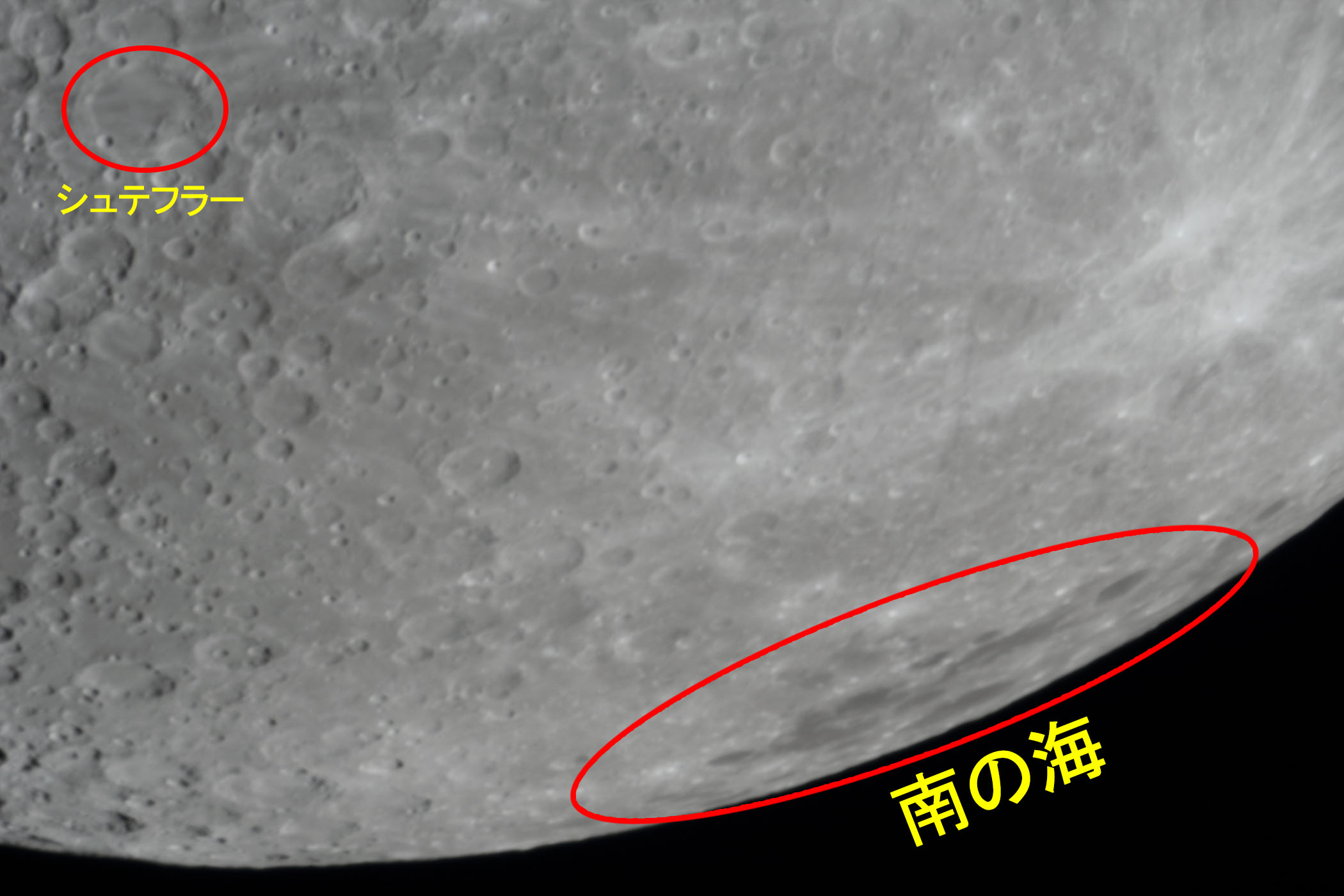 �w���i����9.7�j�V���e�t���[�E��̊C�t�߁x(2026�N1��28��)