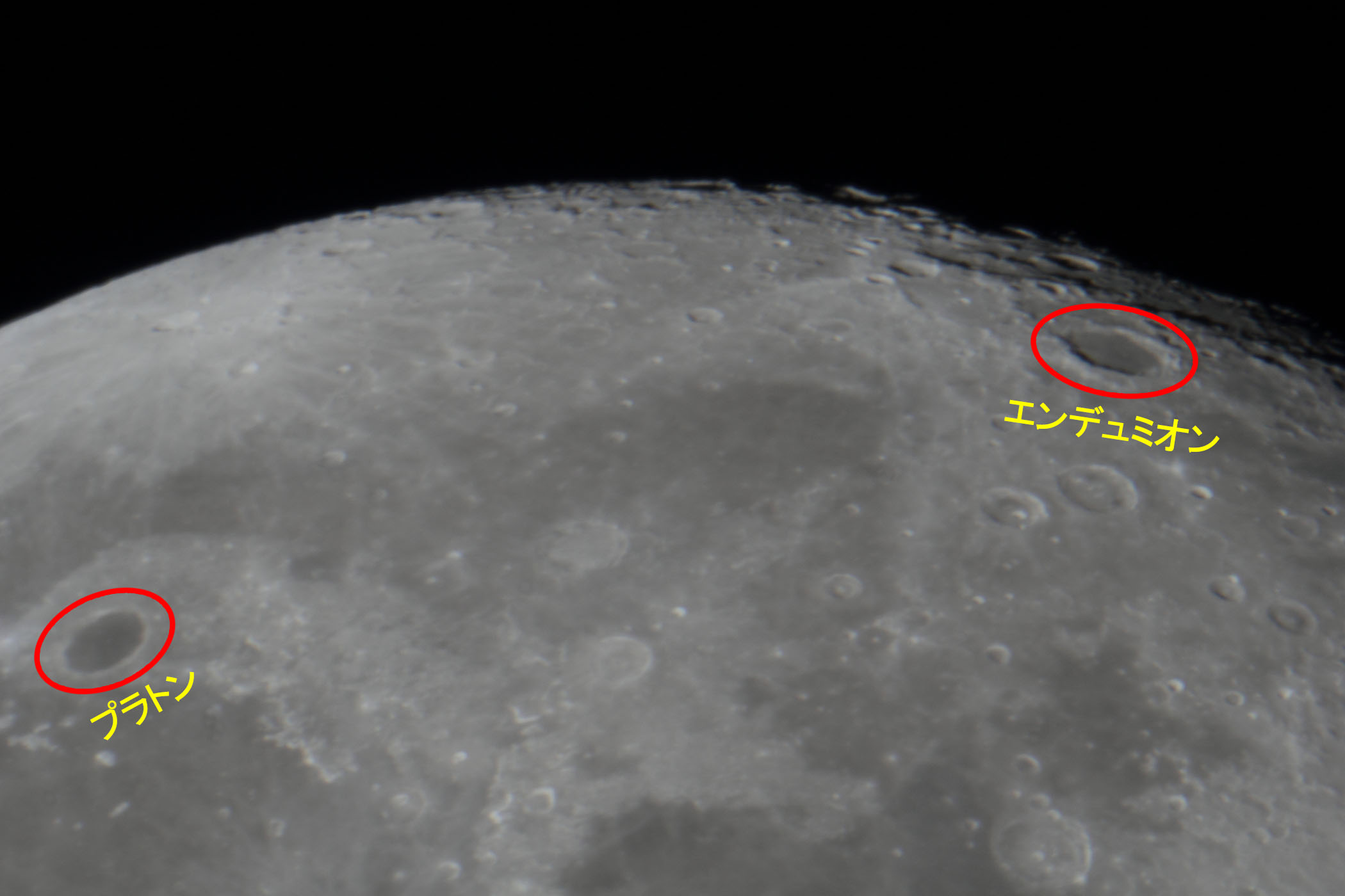 �w���i����15.7�j�G���f���~�I���E�v���g���t�߁x(2026�N2��3��)