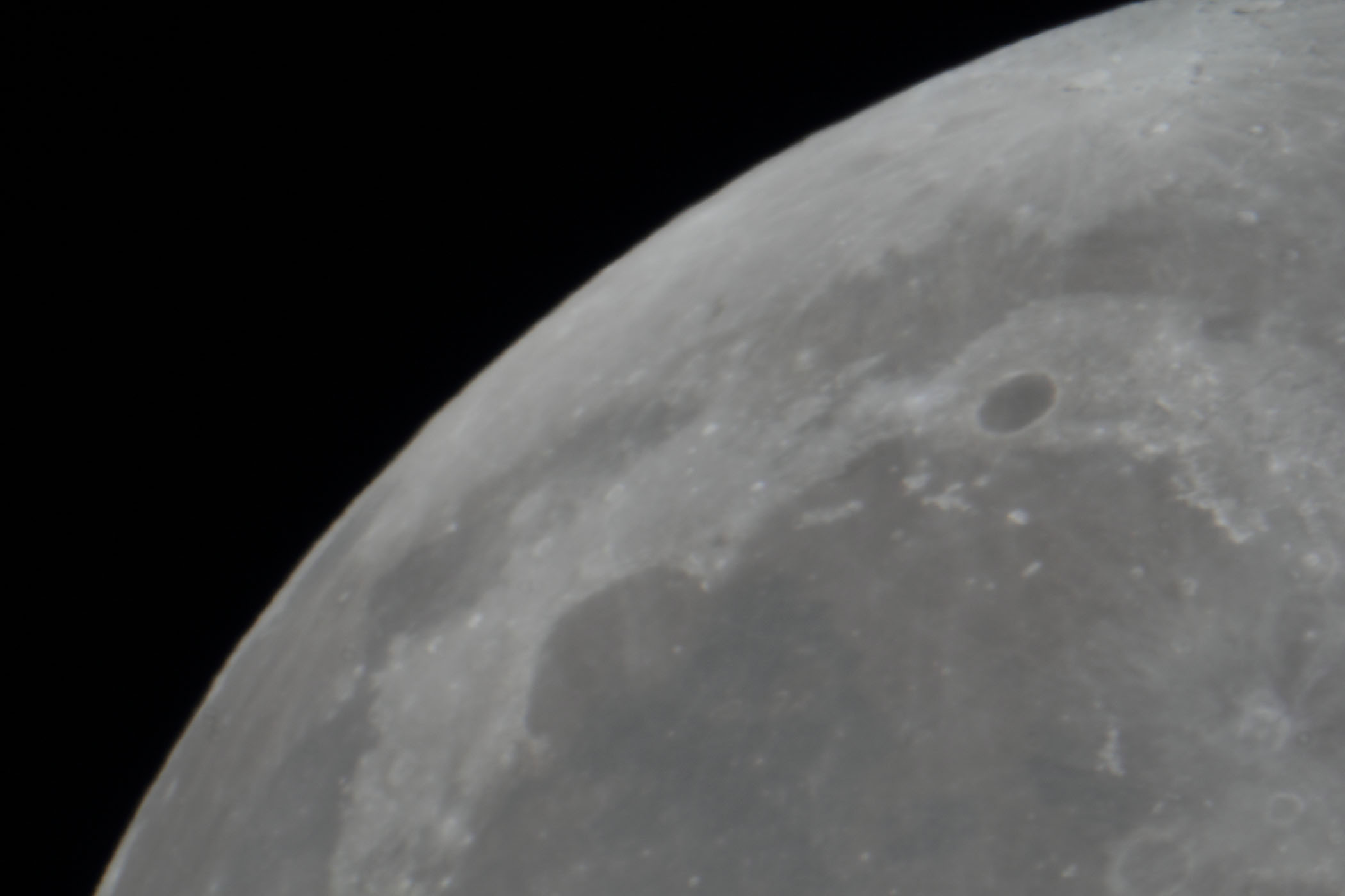 �w���i����15.7�j�v���g���E���̓���]�t�߁x(2026�N2��3��)