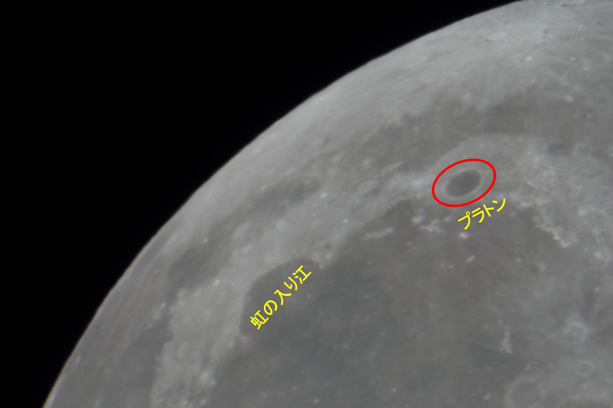 �w���i����15.7�j�v���g���E���̓���]�t�߁x(2026�N2��3��)