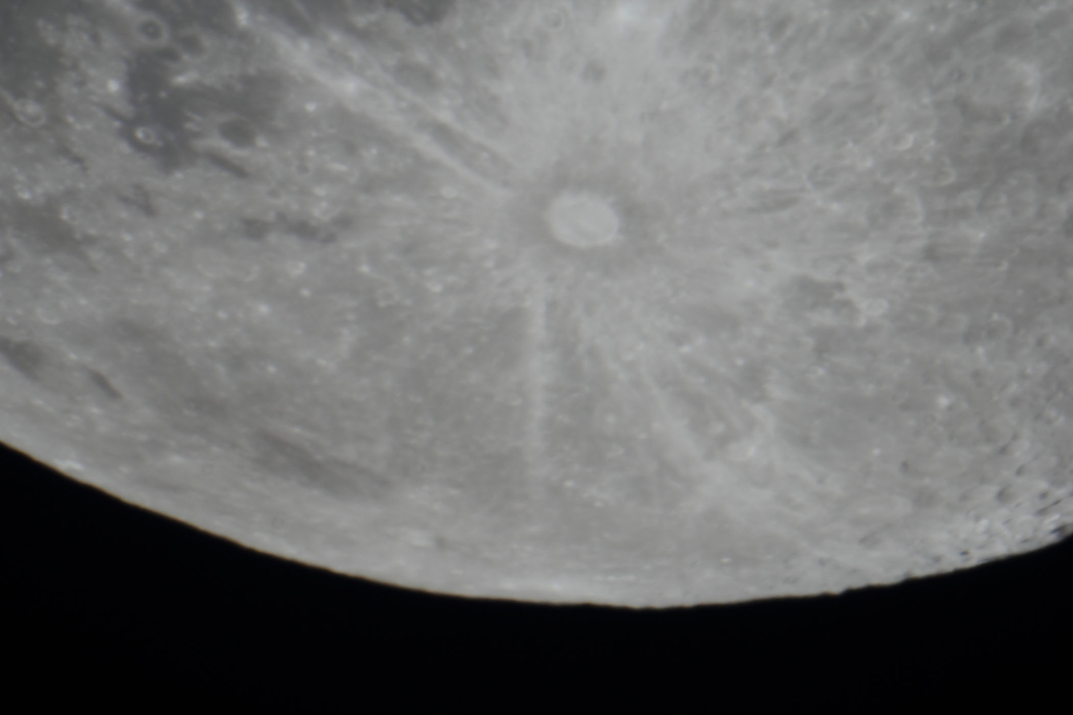 �w���i����15.7�j�e�B�R�t�߁x(2026�N2��3��)