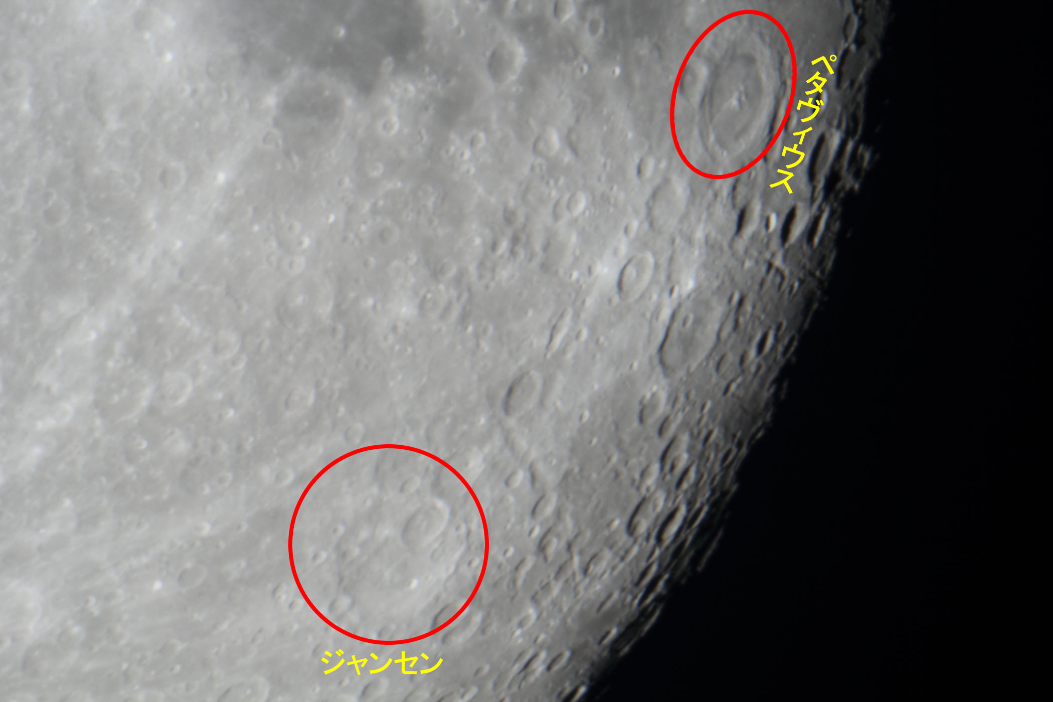 �w���i����15.7�j�W�����Z���E�y�^���B�E�X�t�߁x(2026�N2��3��)