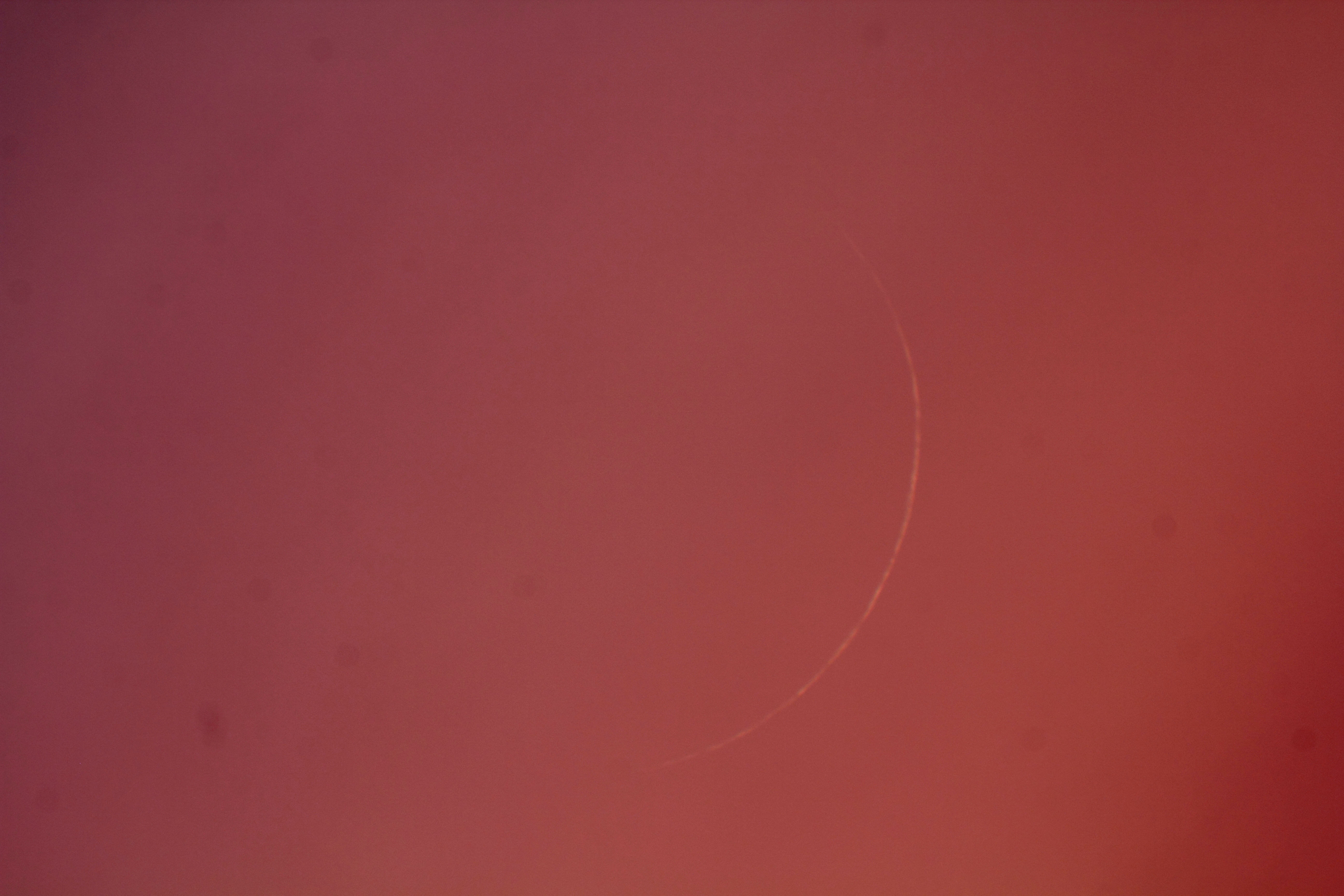 『月(月齢1.0)』(2026年2月18日)