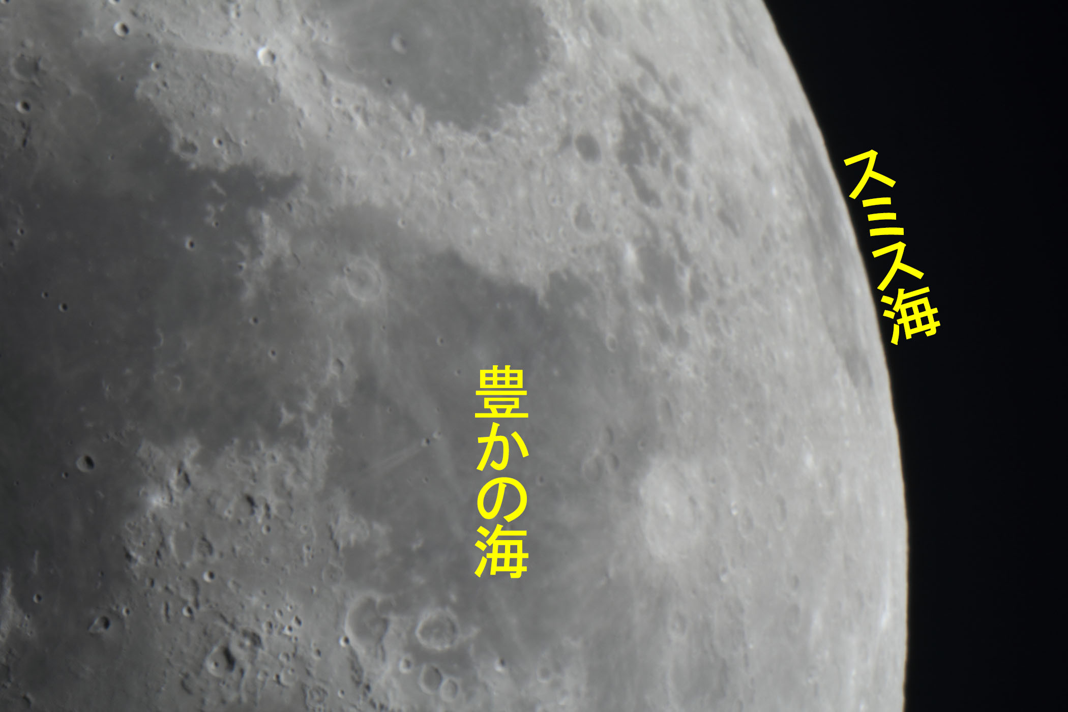 �w���i����6.4�j�L���̊C�t�߁x(2026�N6��21��)