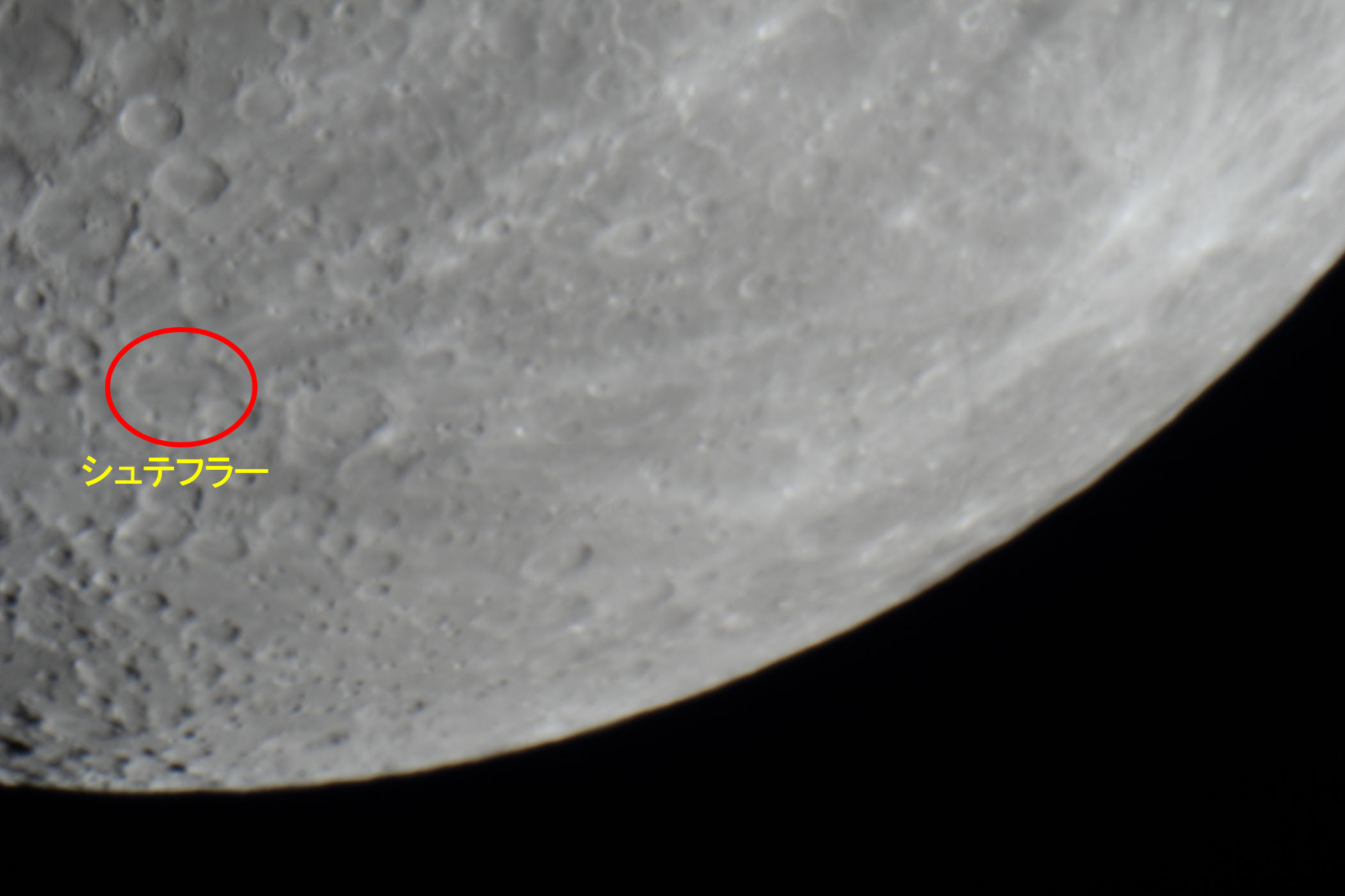 �w���i����9.8�j�V���e�t���[�t�߁x(2026�N8��22��)