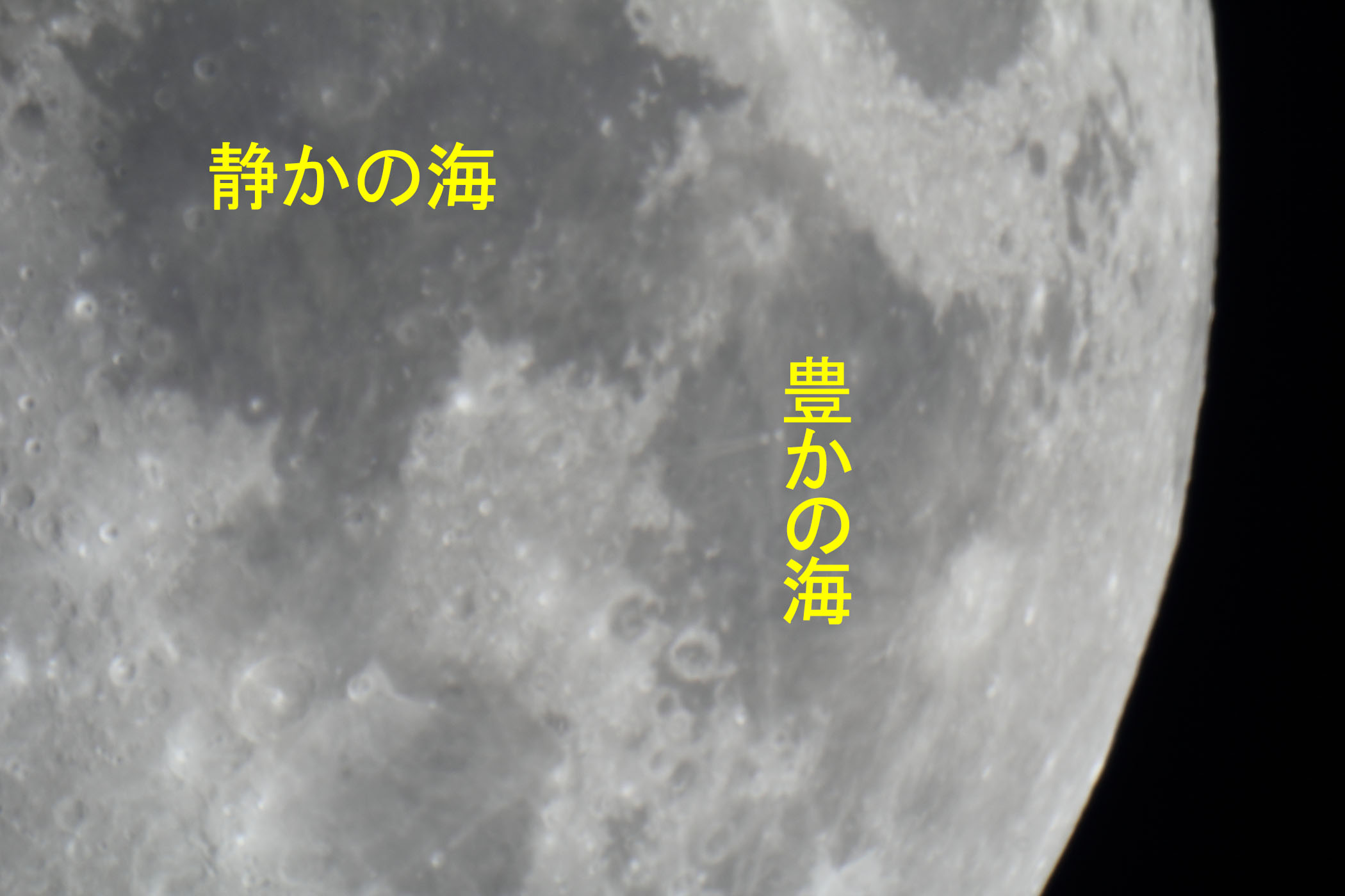 �w���i����9.8�j�Â��̊C�E�L���̊C�t�߁x(2026�N8��22��)