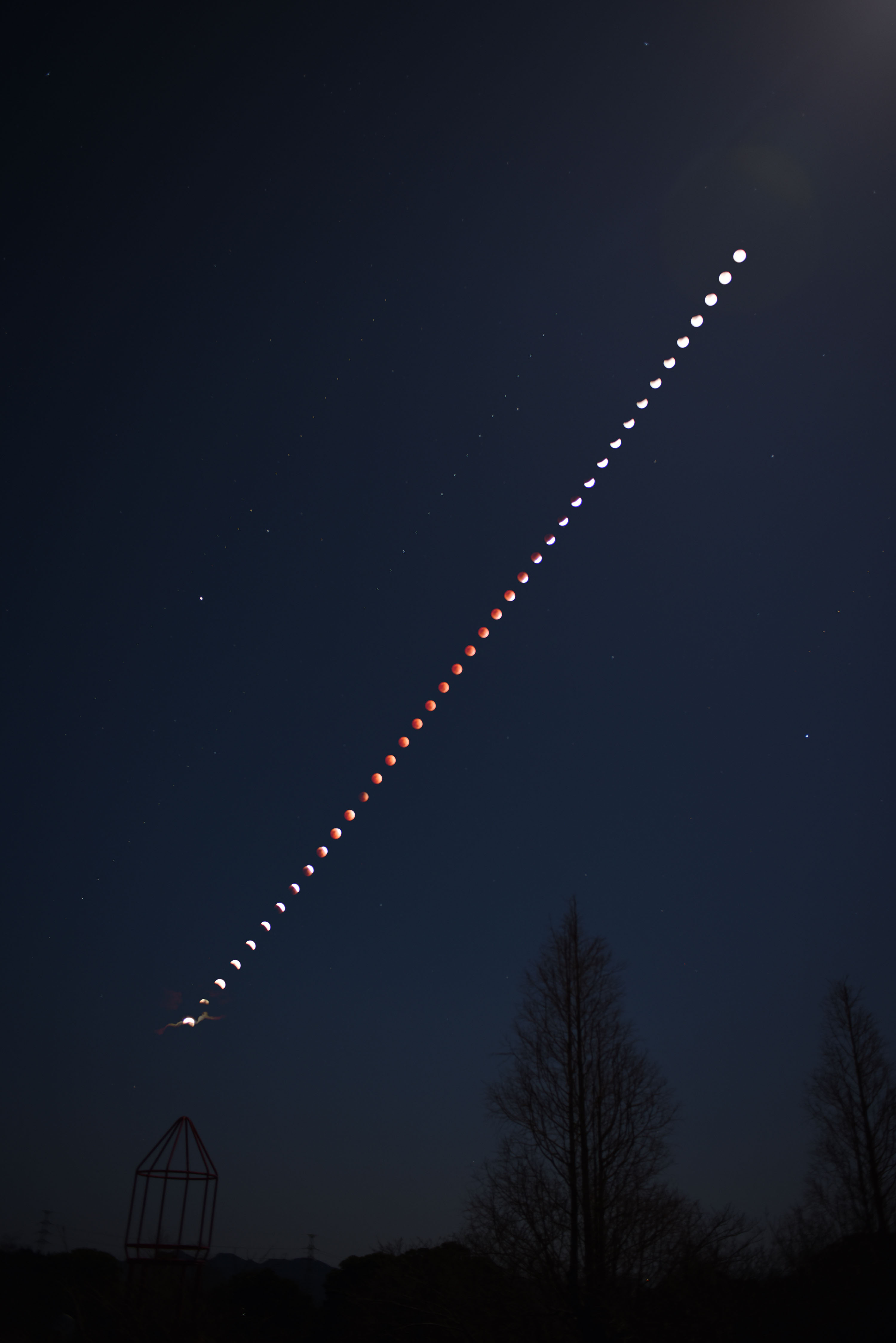 �w�F�����H(�o��)�i����14.0�j�x(2026�N3��3��)