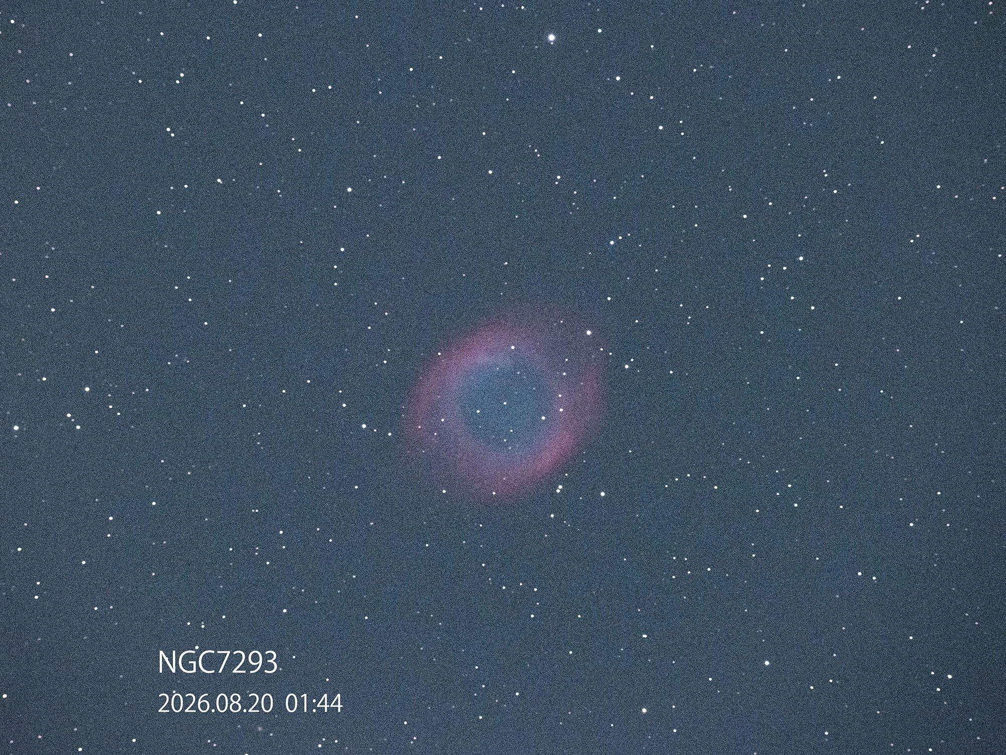 �wNGC7293(�点�񐯉_)�x(2026�N8��20��)